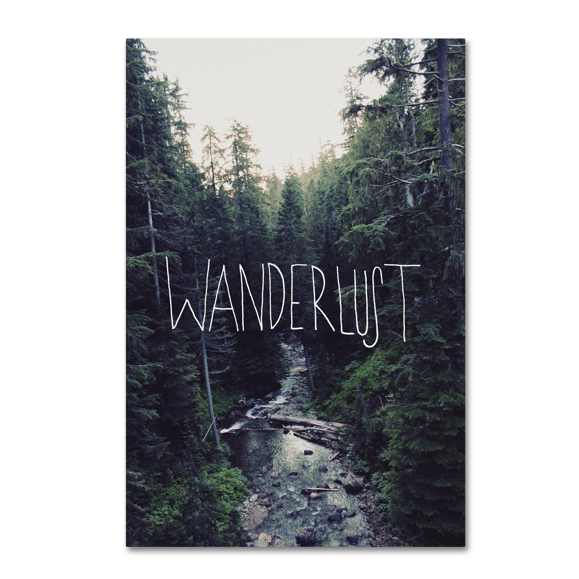 Trademark Art 'Wanderlust Rainier Creek' by Leah Flores Graphic Art on Wrapped Canvas Wayfair