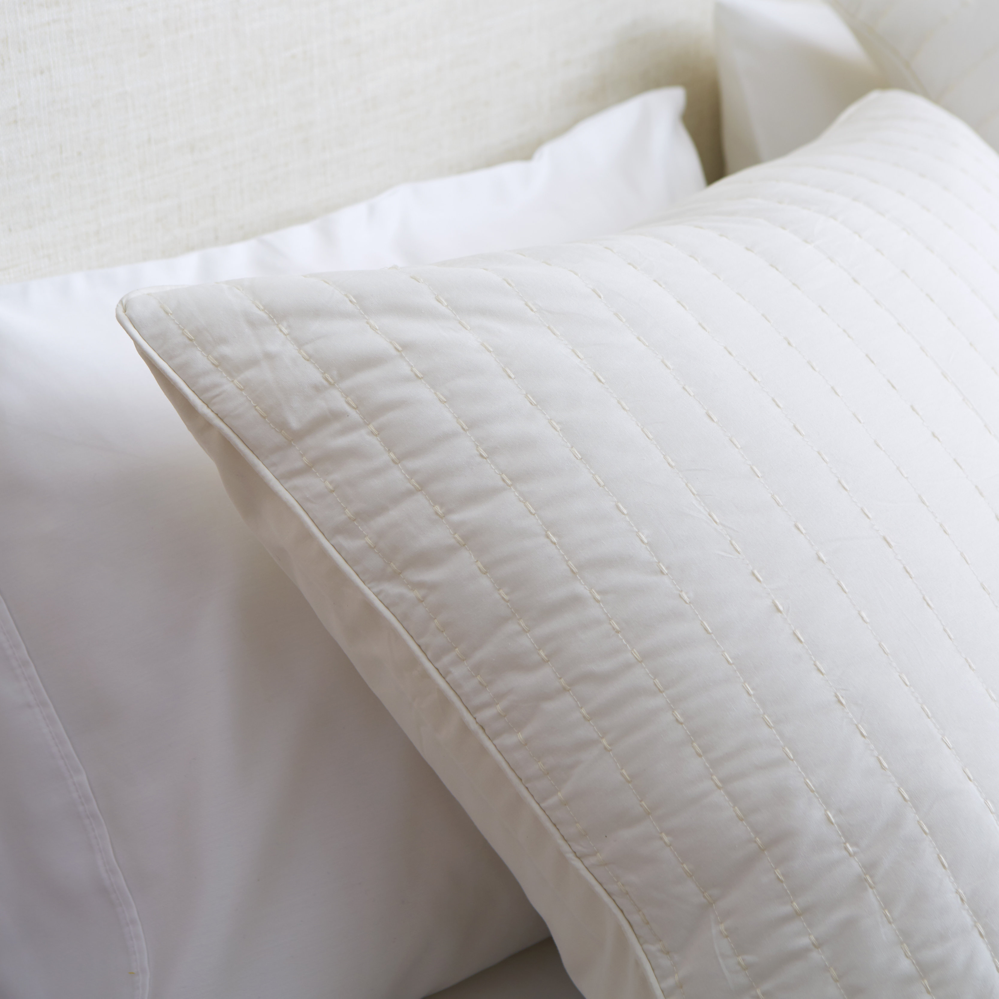 Ink + Ivy Camila Quilted Euro Sham & Reviews Wayfair