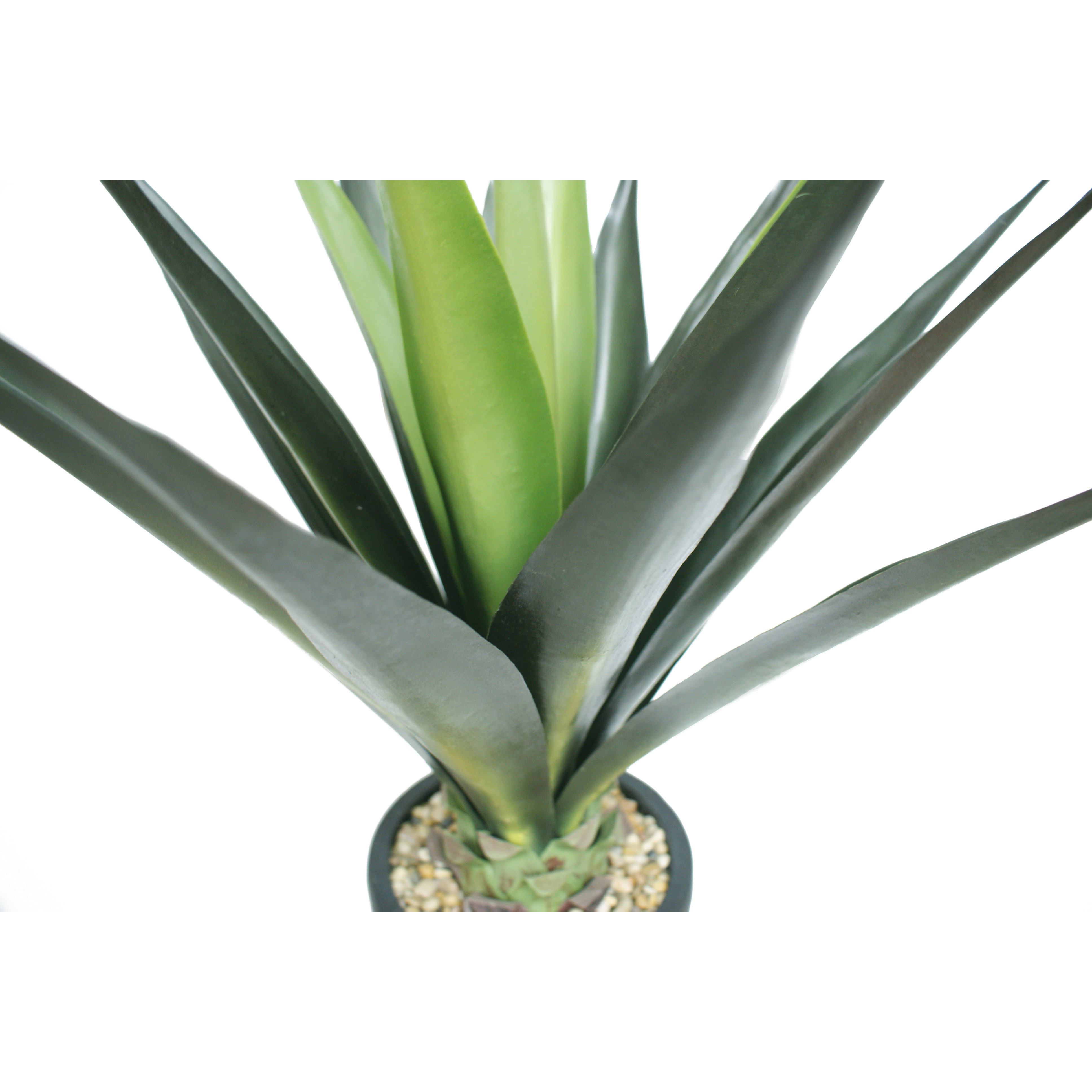 Laura Ashley Home Tall High End Giant Aloe Floor Plant in ...