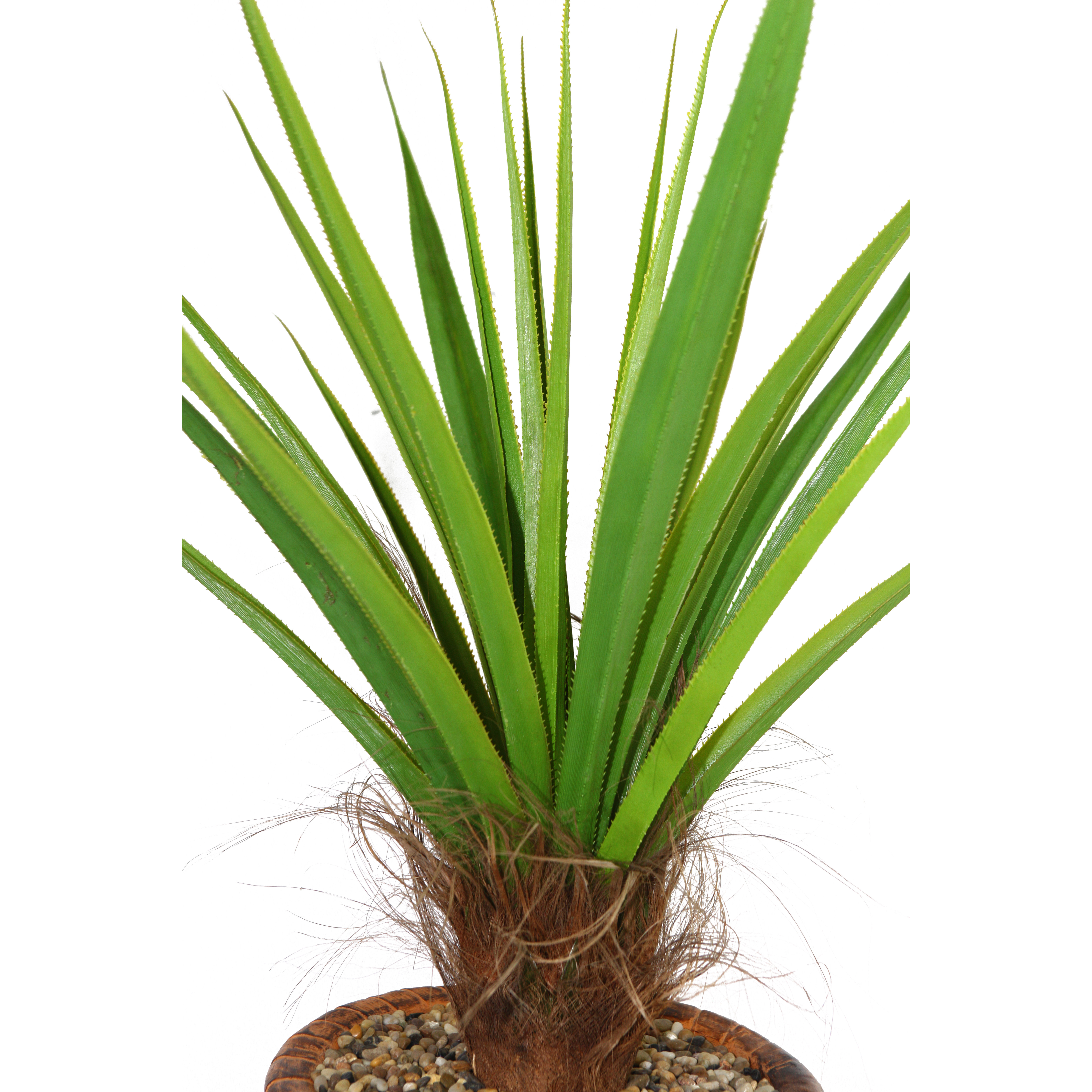 Laura Ashley Home Tall Agave Floor Plant in Fiberstone Pot Wayfair