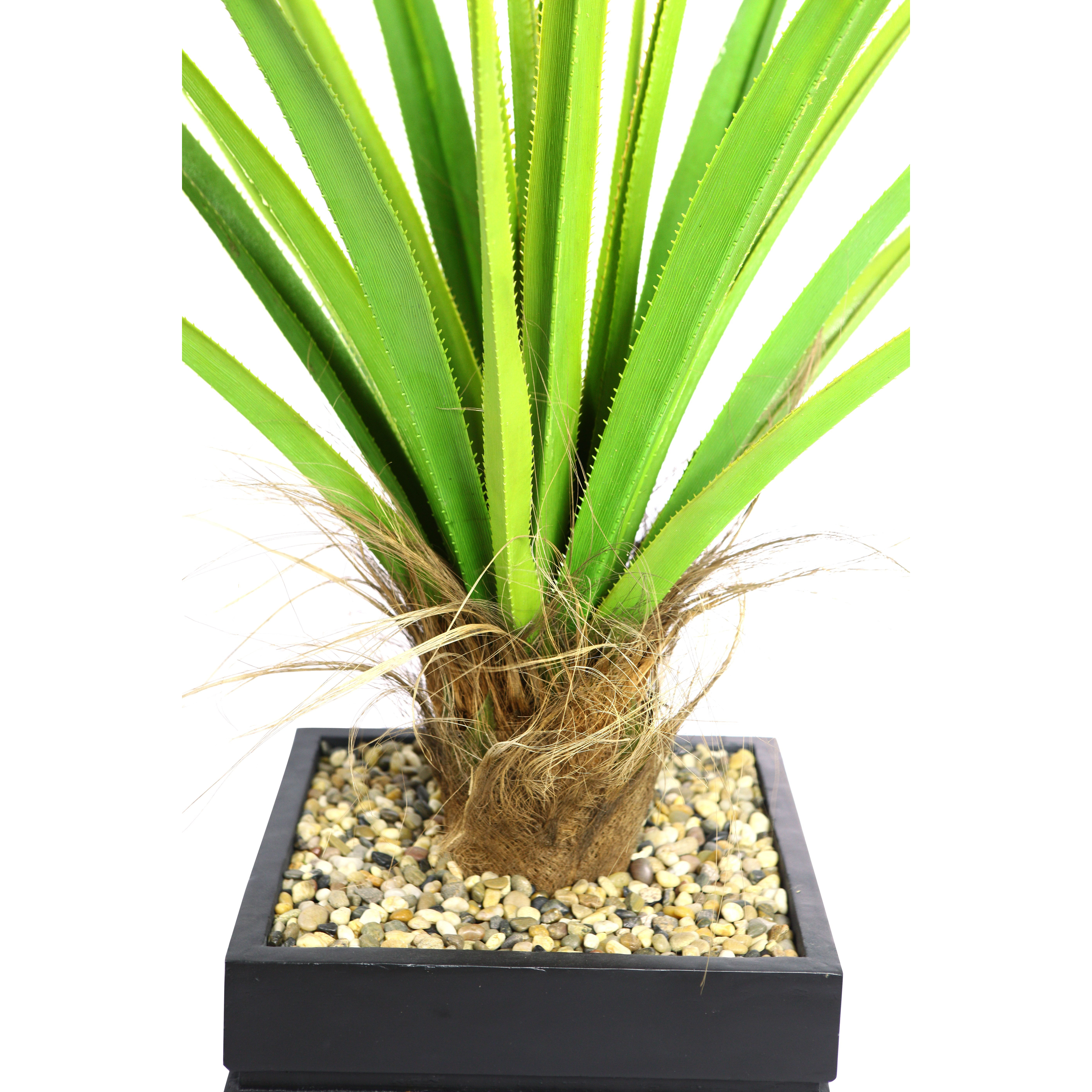 Laura Ashley Home Tall Agave Floor Plant in Fiberstone Pot Wayfair