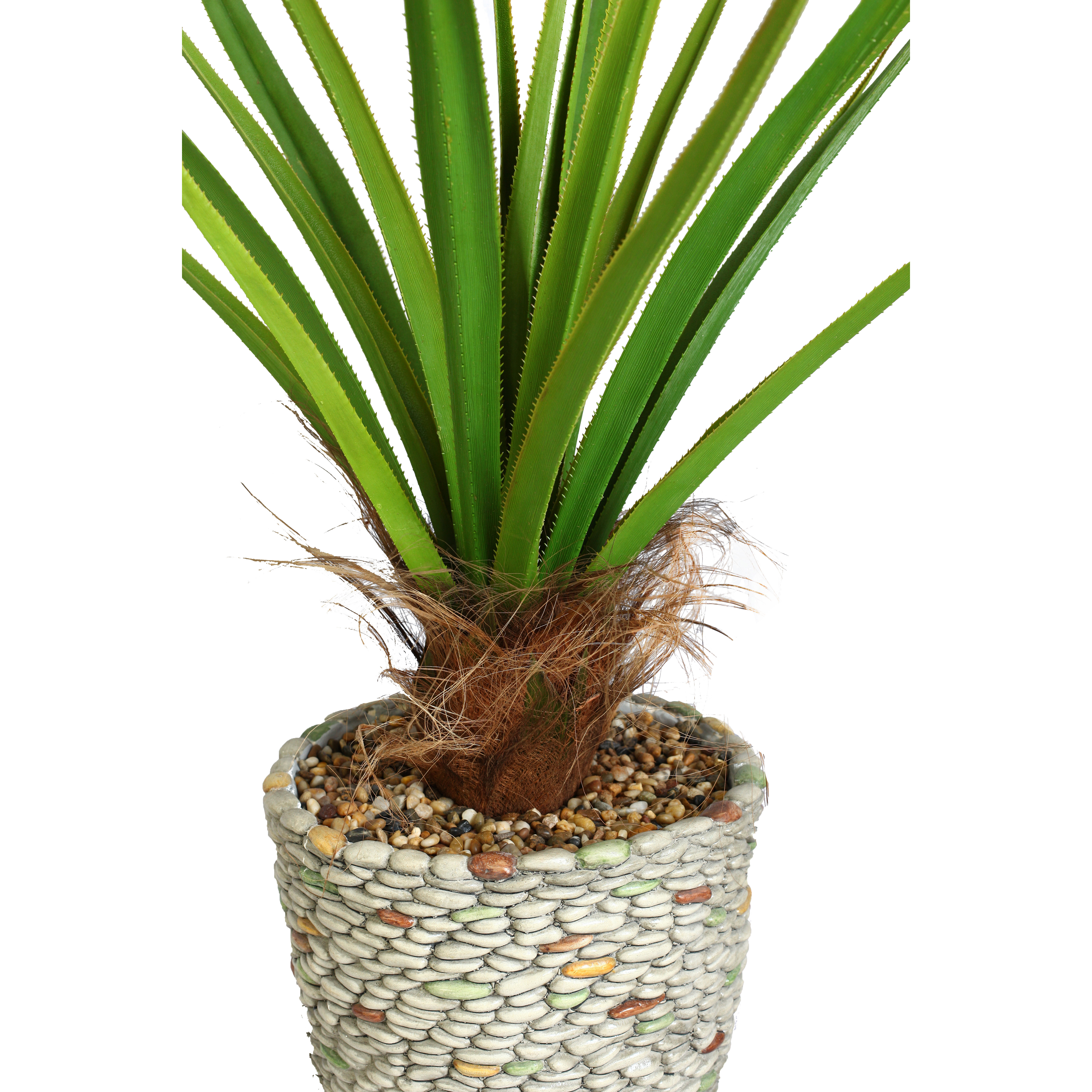 Laura Ashley Home Tall Agave Floor Plant in Fiberstone Pot & Reviews Wayfair