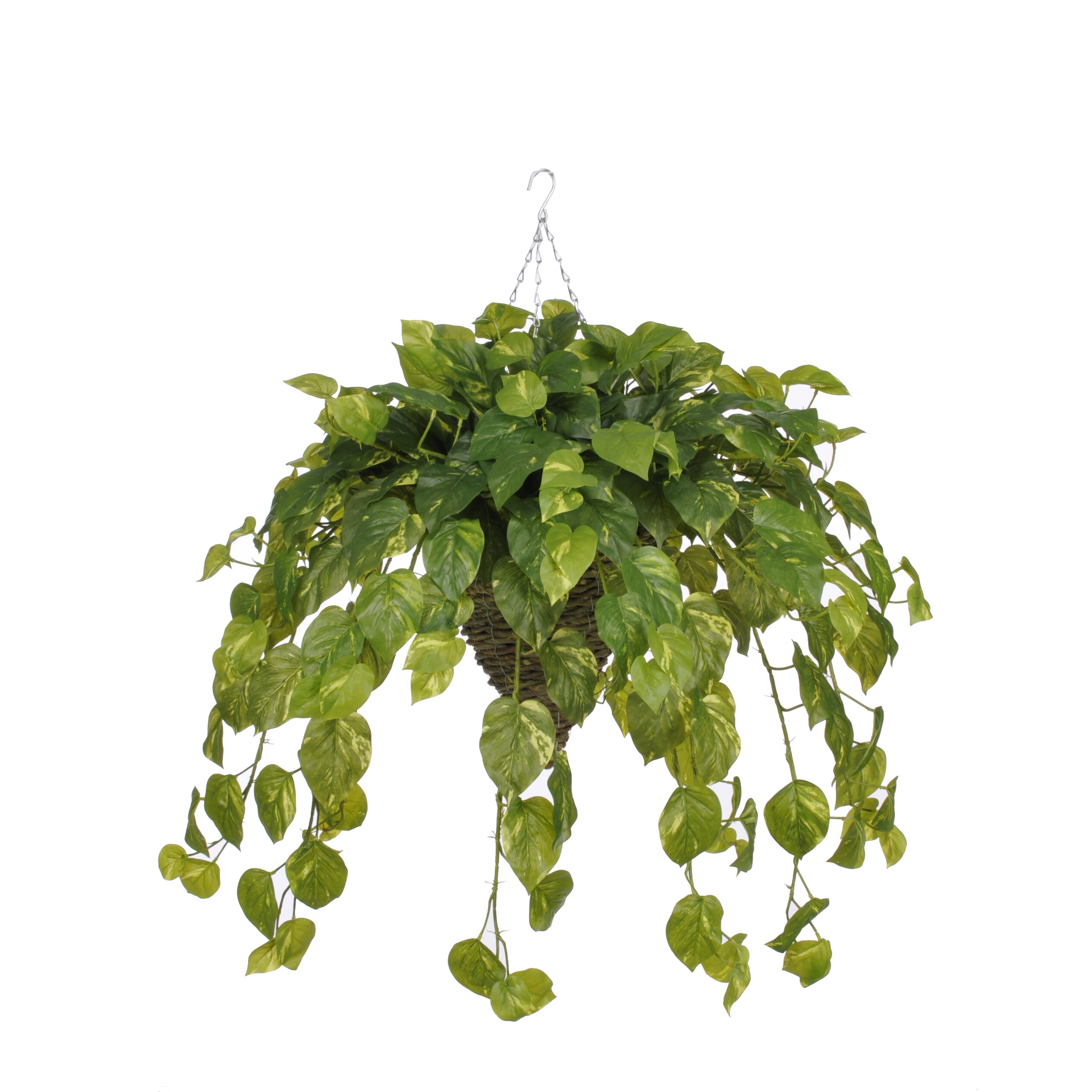 House Of Silk Flowers Artificial Real Touch Pothos Hanging Plant In Cone Basket And Reviews Wayfair 5588