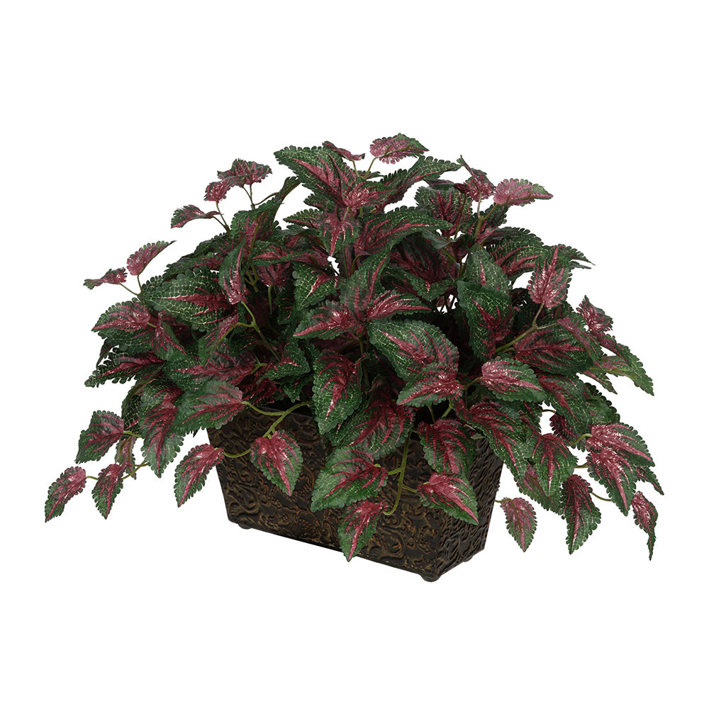 House of Silk Flowers Artificial Coleus Leaf in Mini Ledge Desk Top