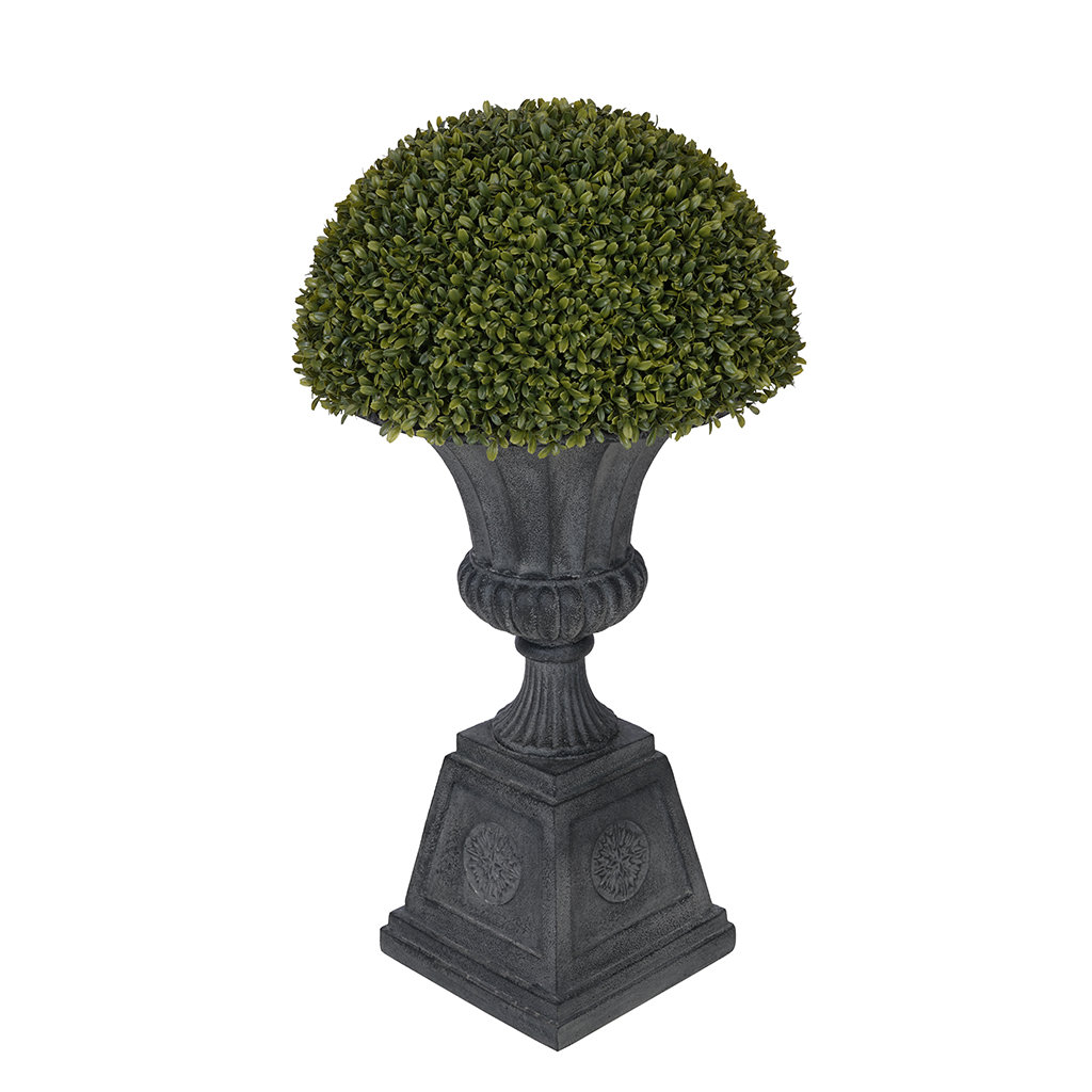 House of Silk Flowers Artificial Boxwood Half Ball Topiary in Urn Wayfair