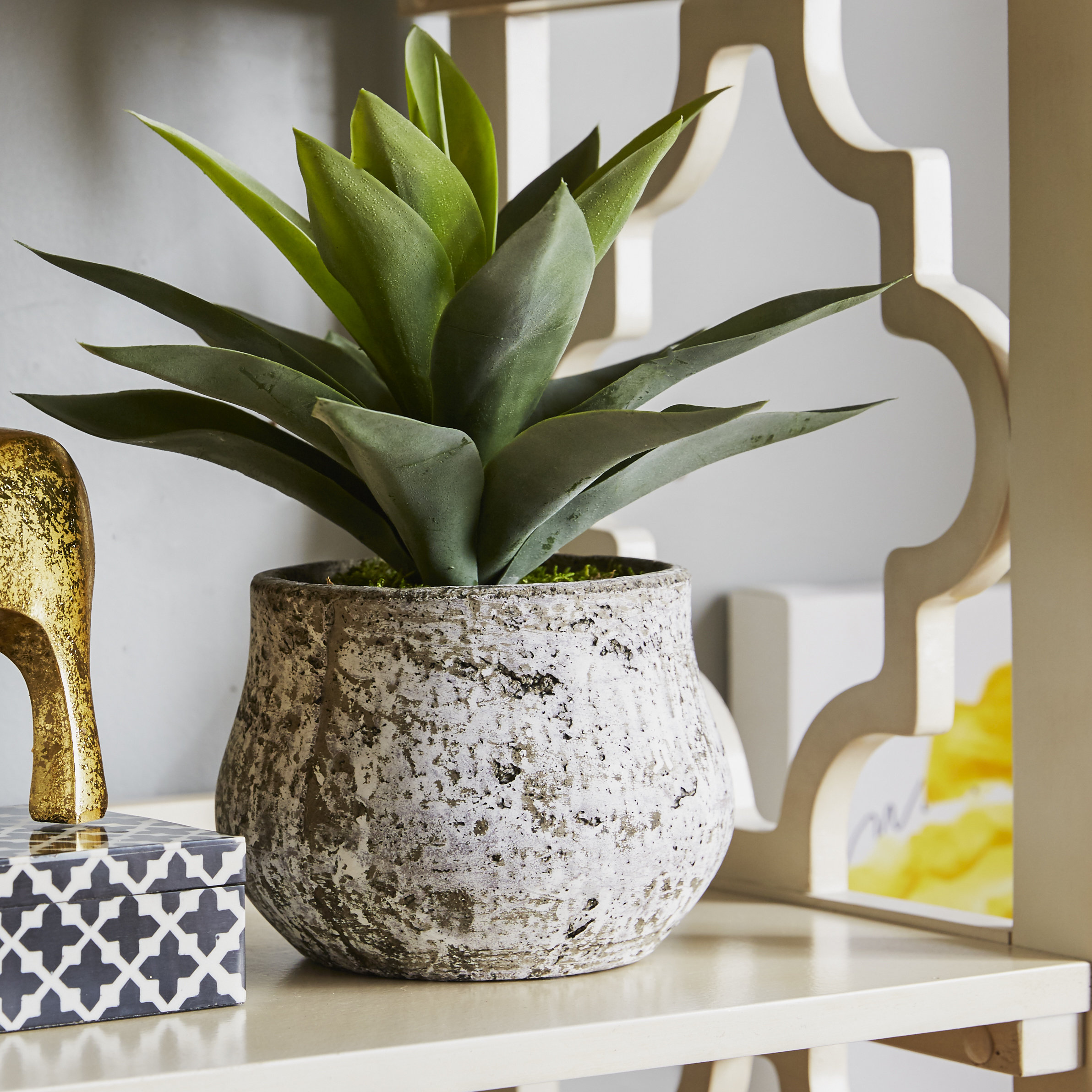 House of Silk Flowers Artificial Succulent Desk Top Plant