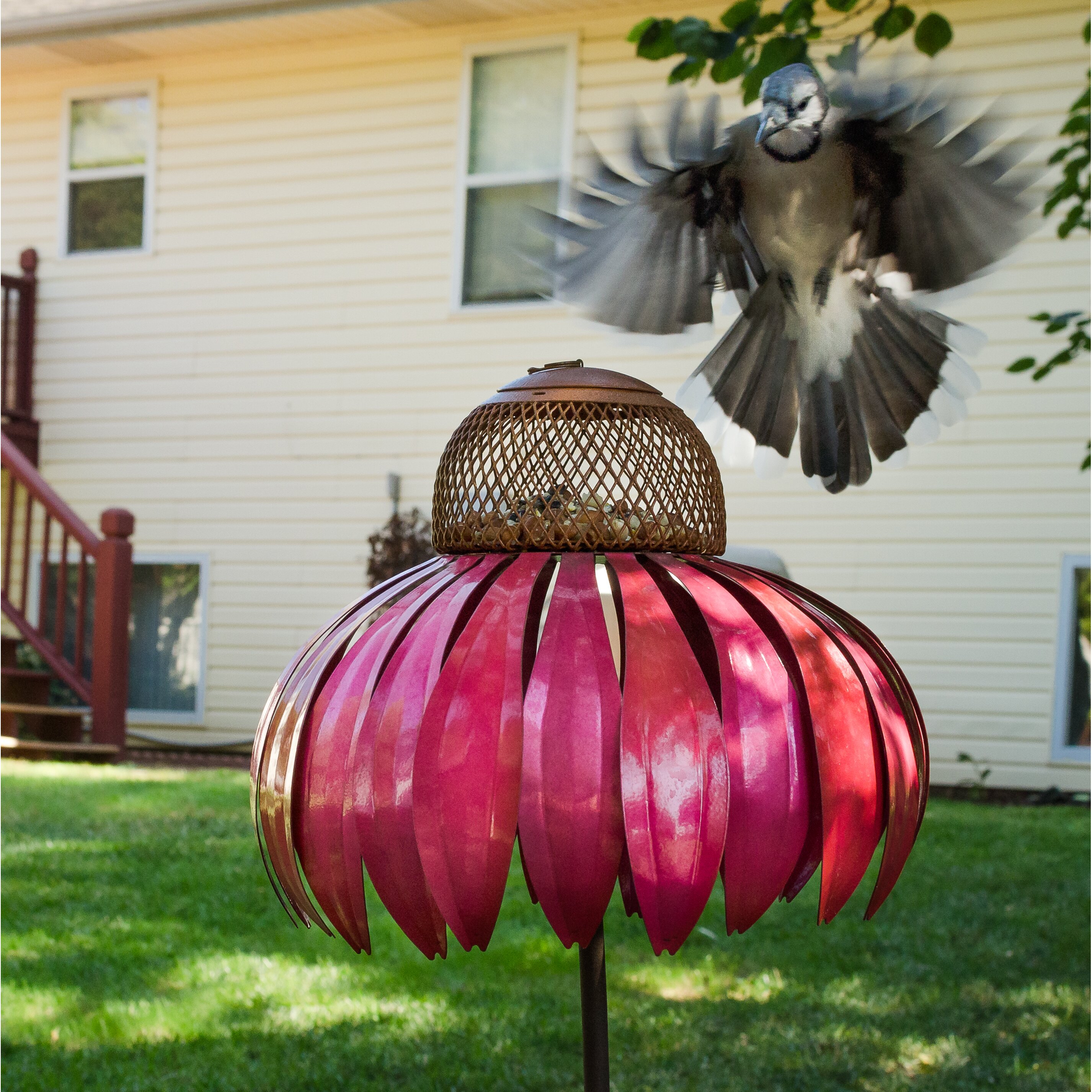 Desert Steel Coneflower Decorative Bird Feeder & Reviews