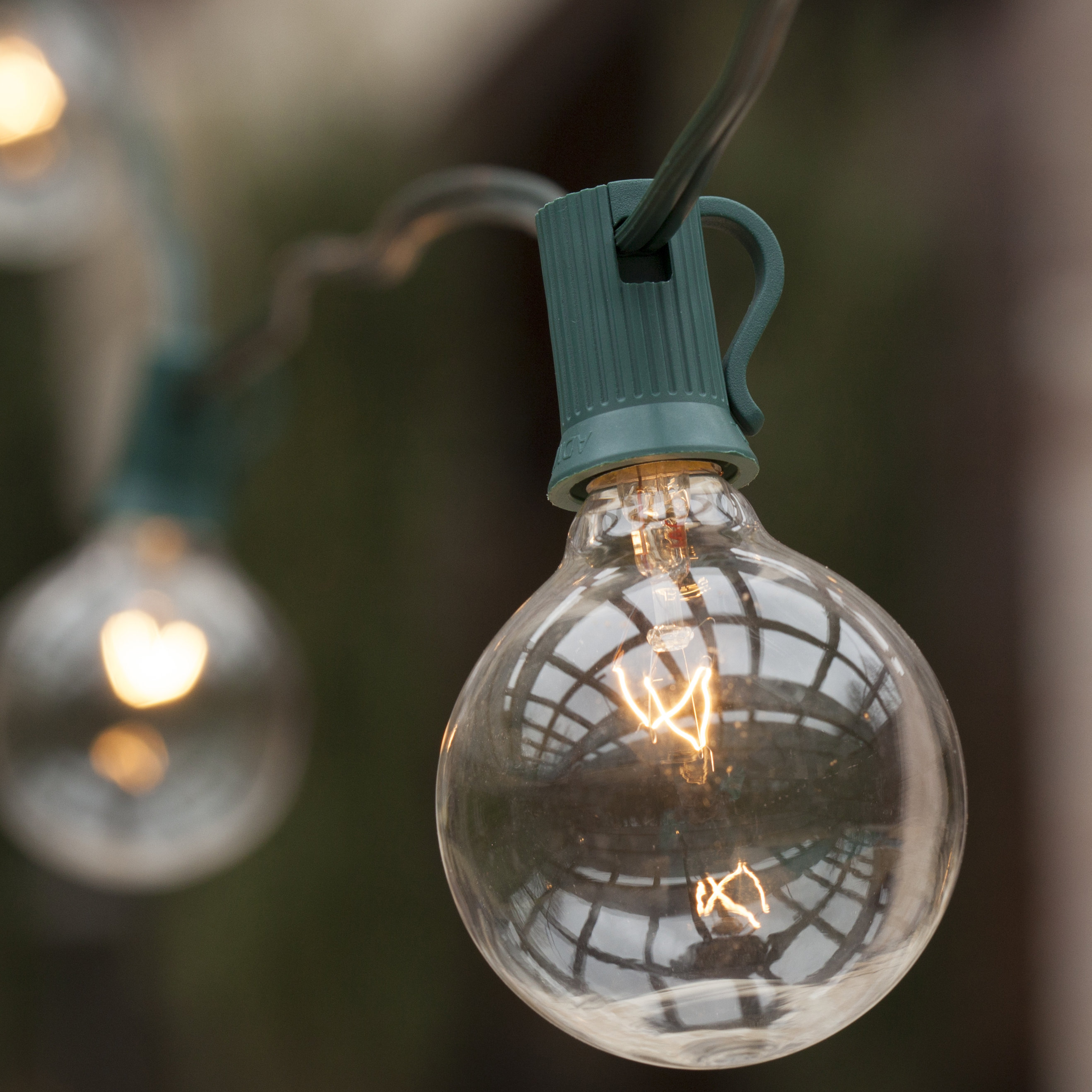 Wintergreen Lighting 25-Light 25 ft. Globe String Lights & Reviews Wayfair