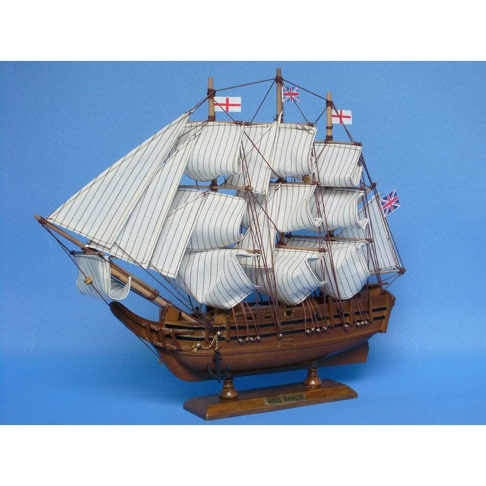 Handcrafted Nautical Decor Darwin's HMS Beagle Model Ship ...