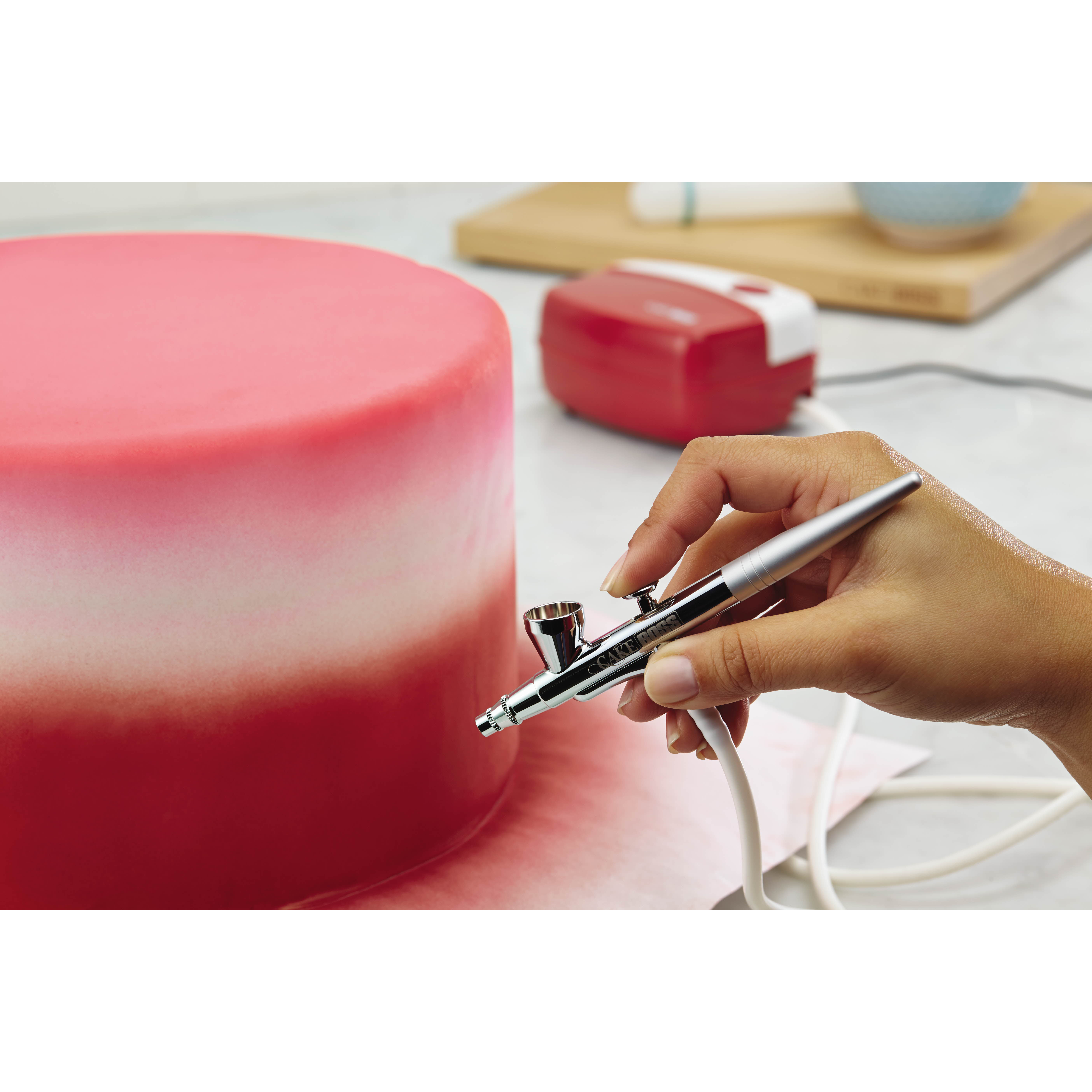 Cake Boss Airbrushing Kit & Reviews Wayfair