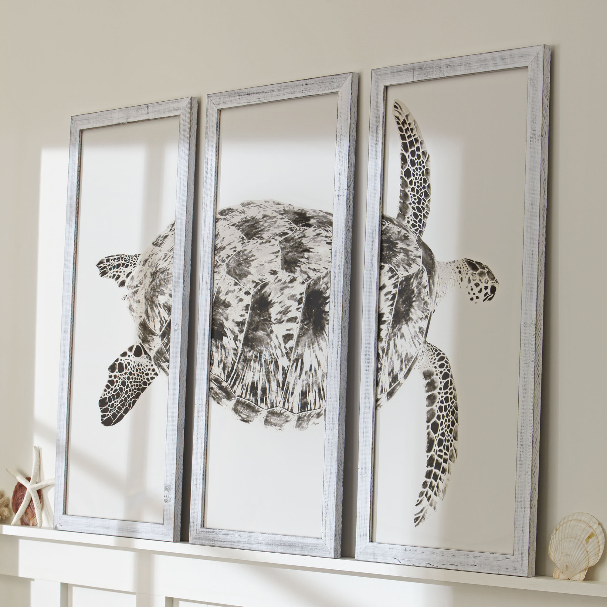 Birch Lane Sea Turtle Triptych Framed Print & Reviews | Wayfair