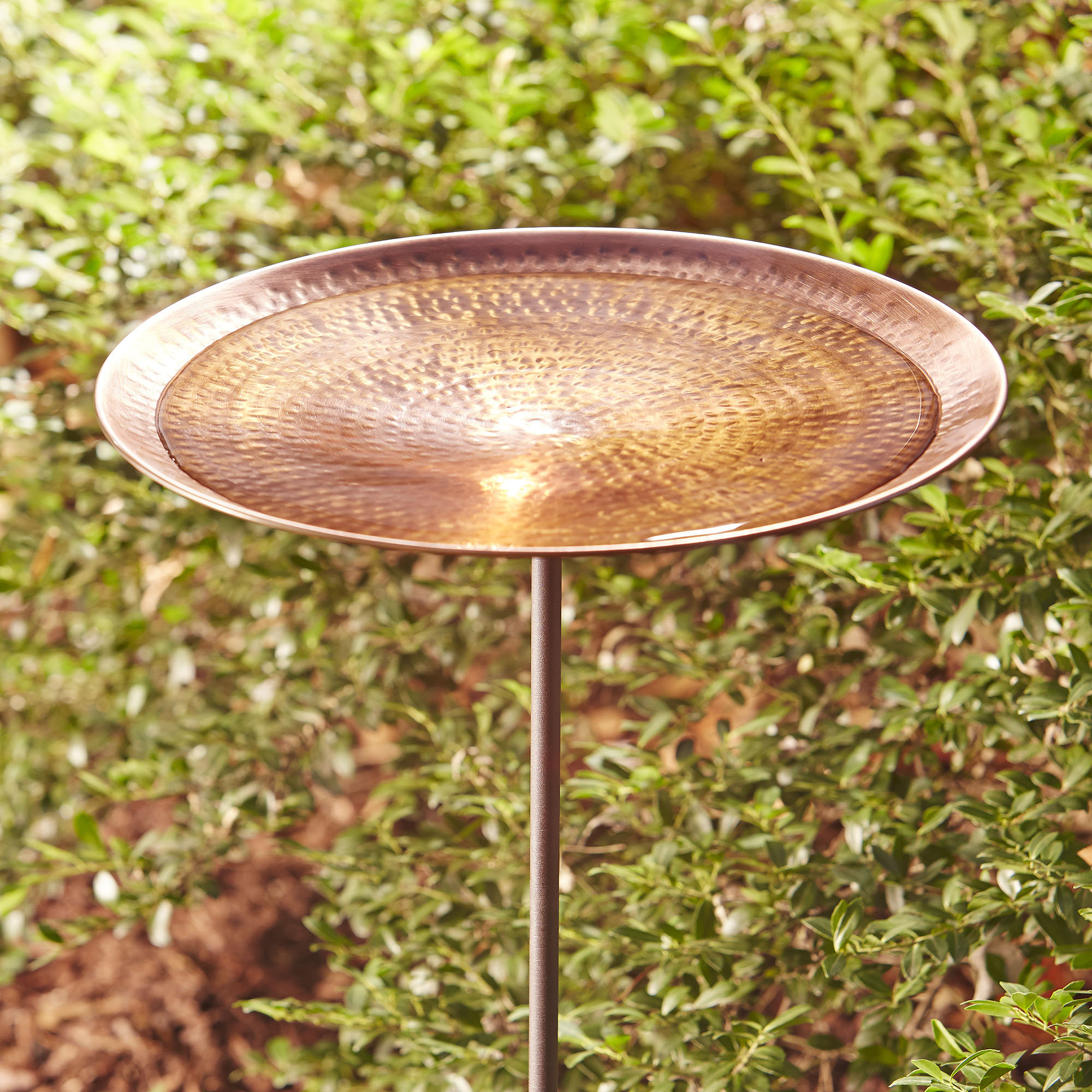 Birch Lane Antique Copper Birdbath with Stand & Reviews Wayfair