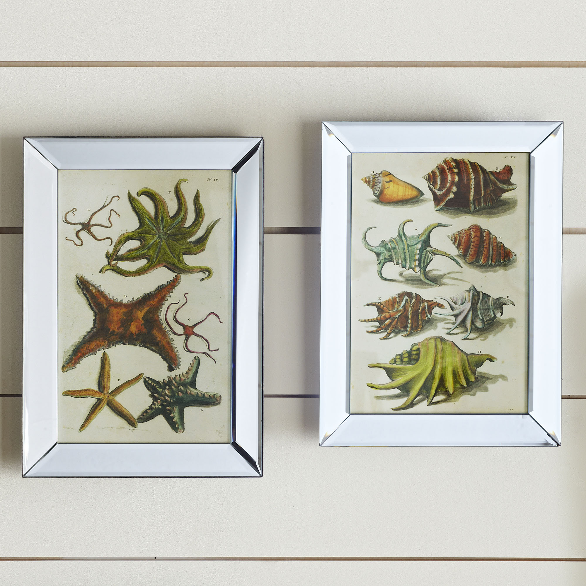 Birch Lane Low Tide Framed Wall Art & Reviews Wayfair