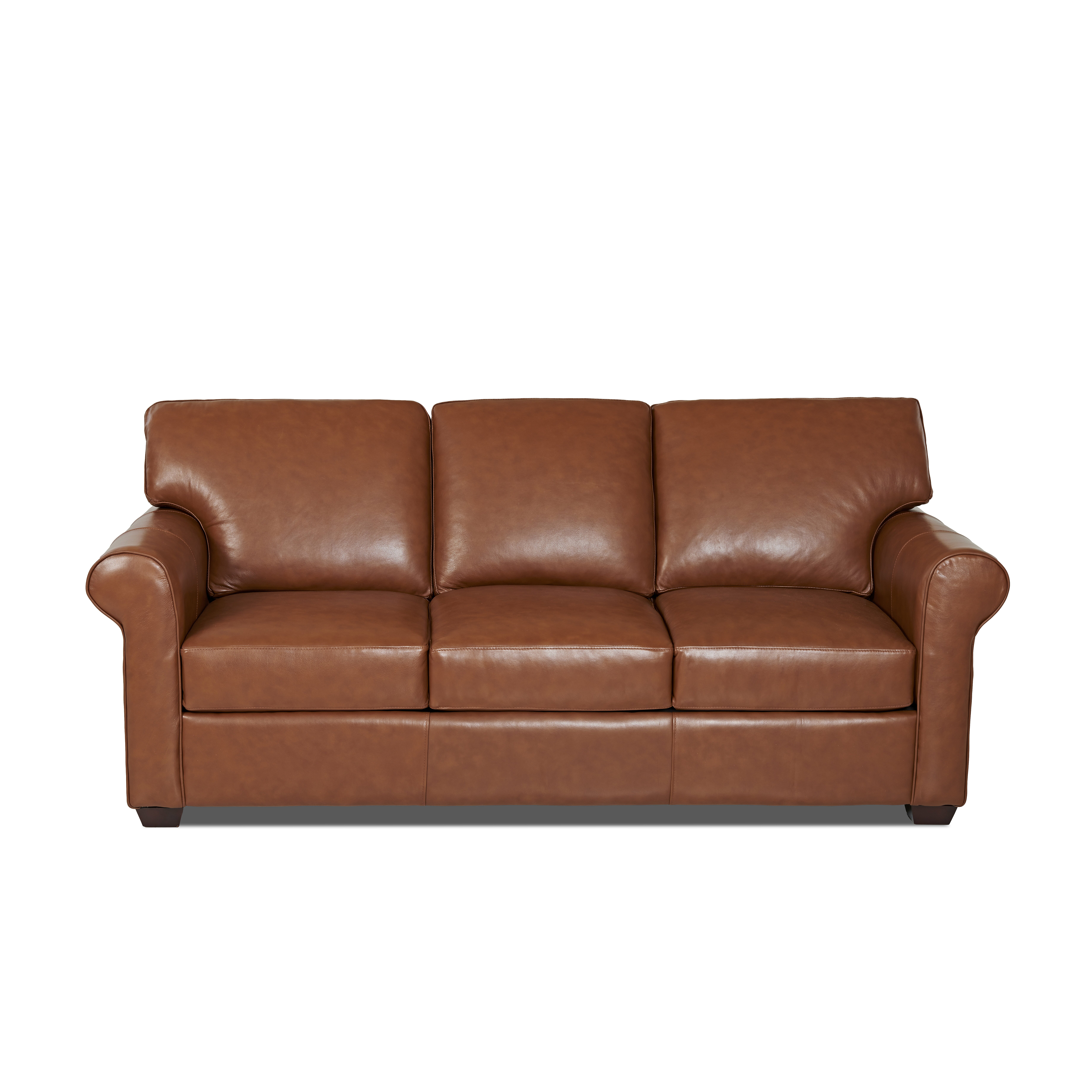 Wayfair Custom Upholstery Rachel Leather Sleeper Sofa & Reviews | Wayfair