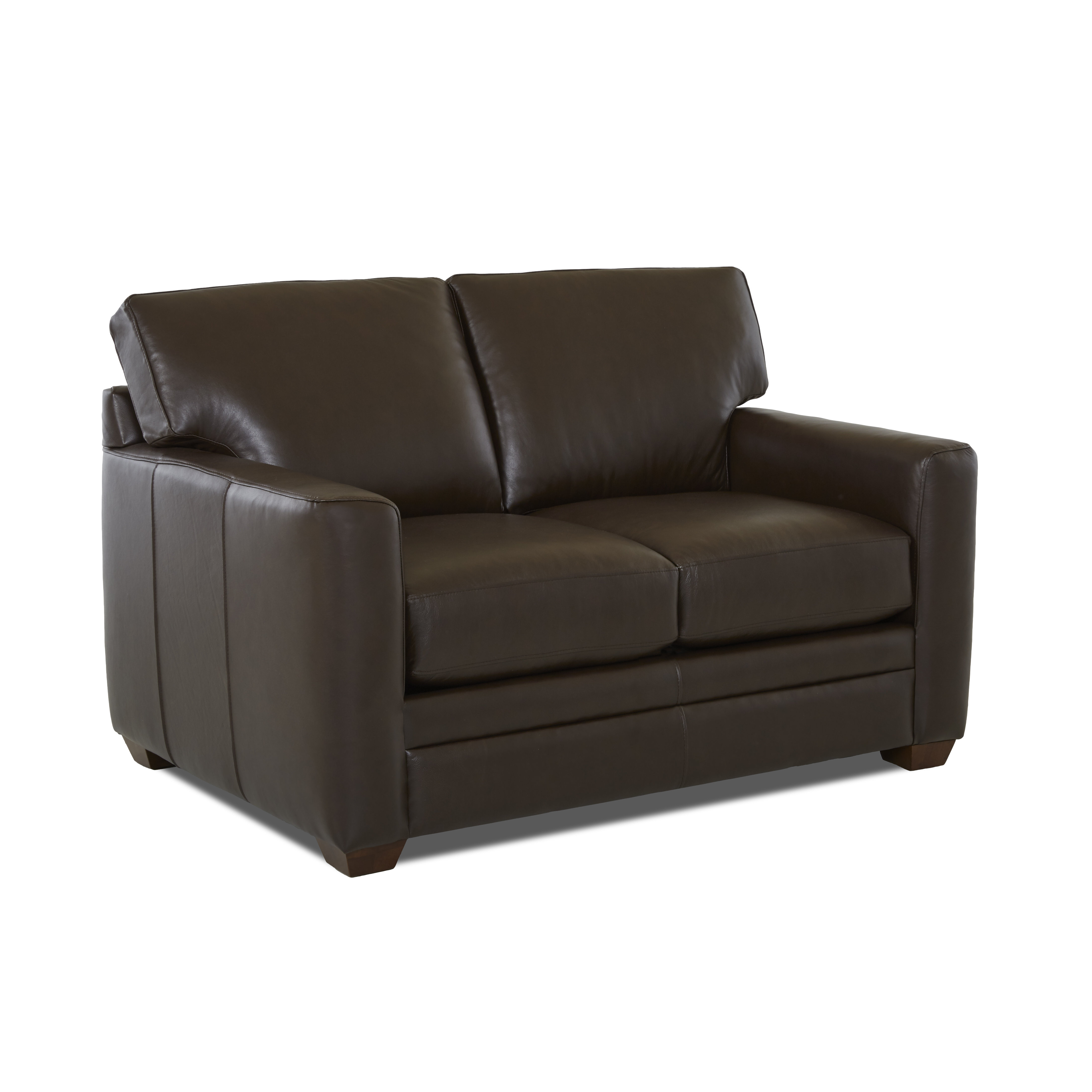 Wayfair Custom Upholstery Jennifer Leather Sleeper Sofa & Reviews Wayfair