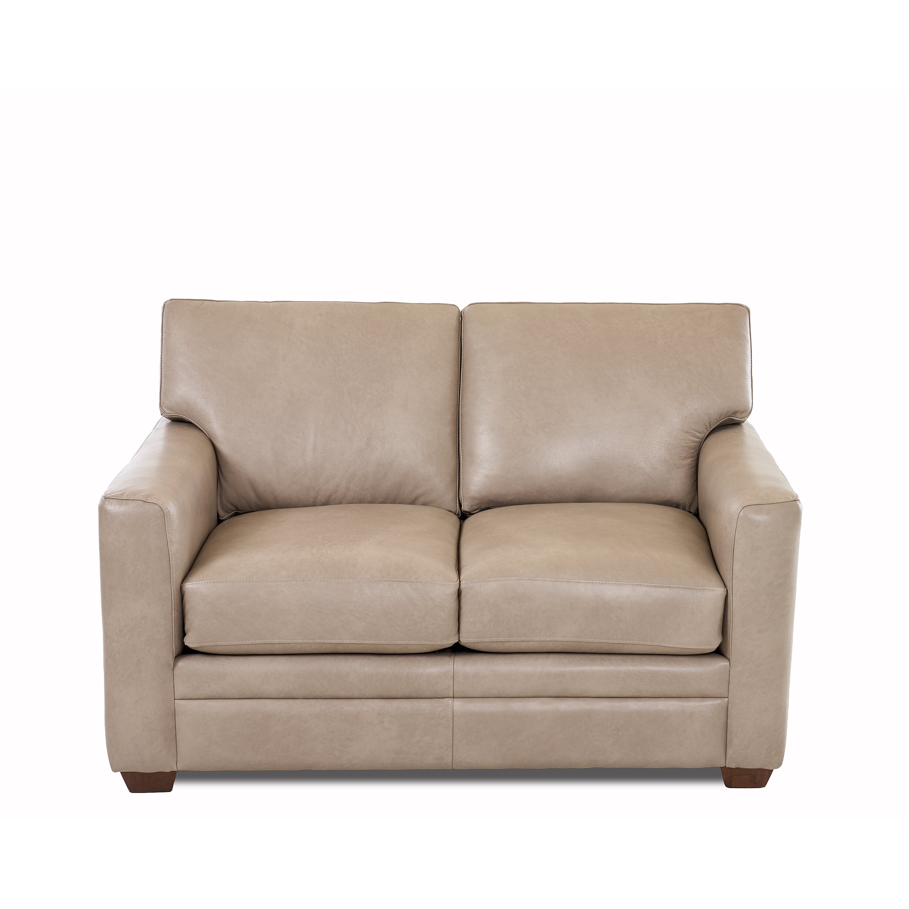 Wayfair Custom Upholstery Jennifer Leather Sleeper Sofa & Reviews | Wayfair