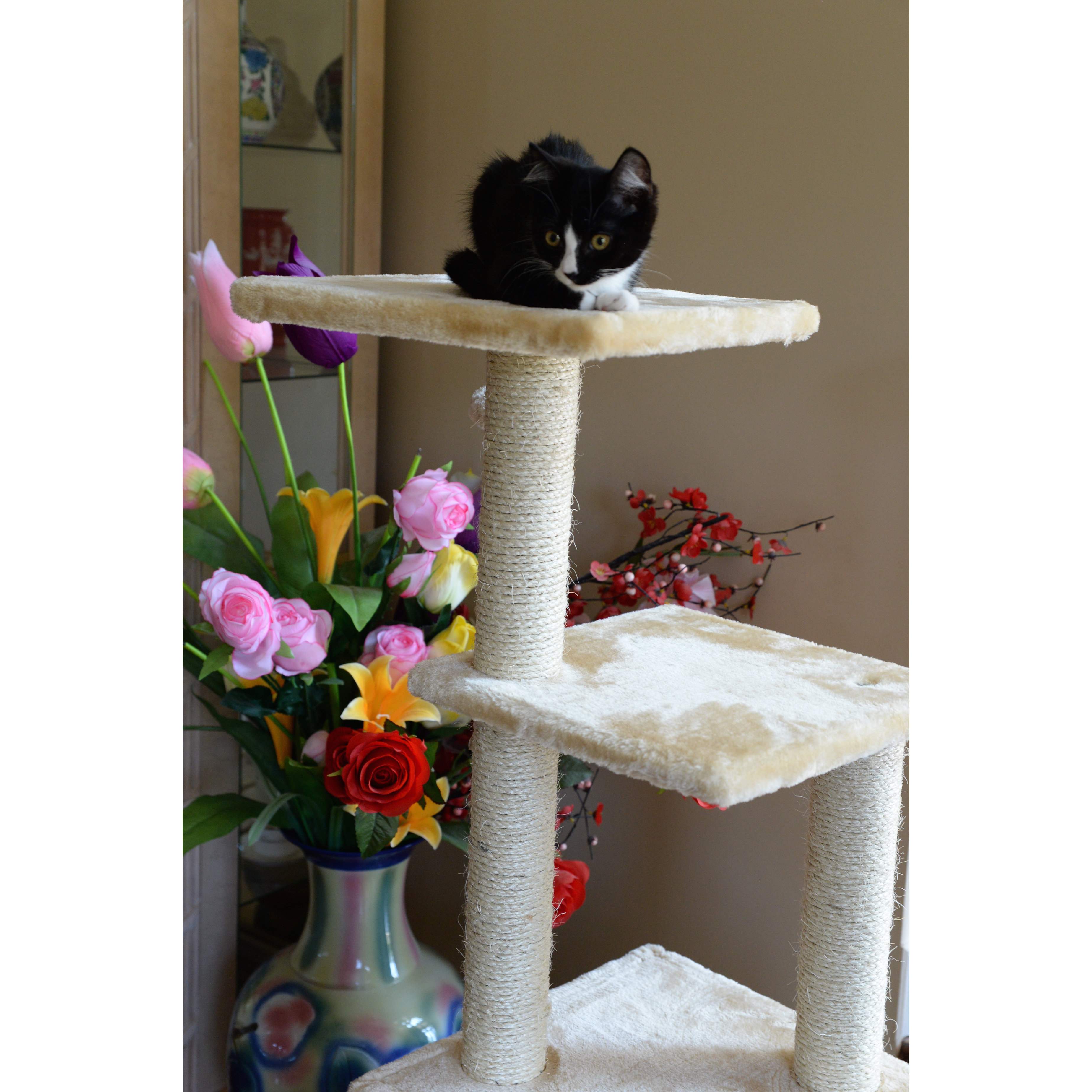 Armarkat 52" Classic Cat Tree & Reviews Wayfair
