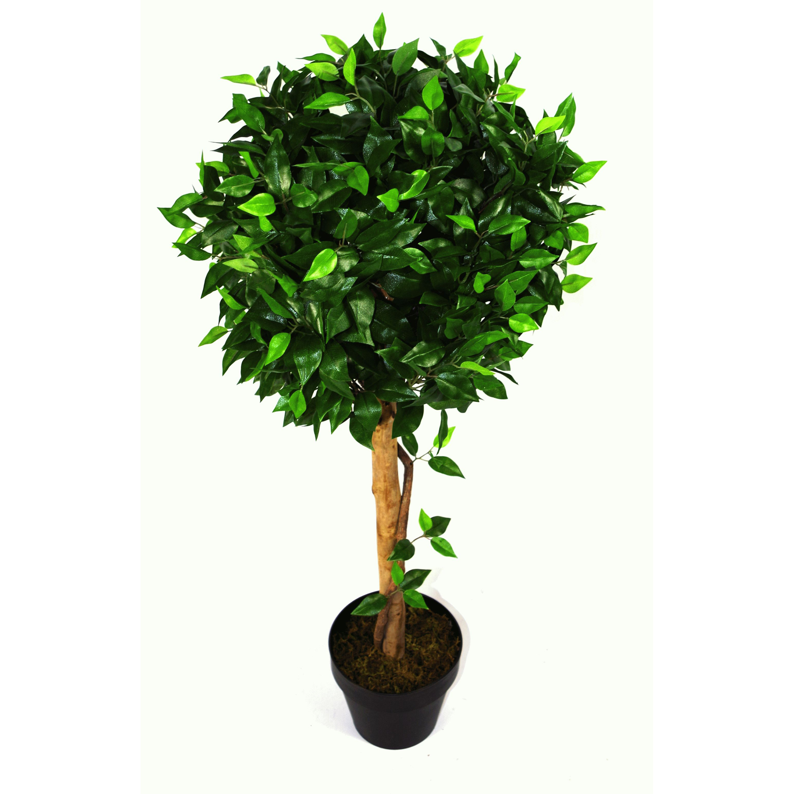 Geko Products Artificial Ficus Ball Tree & Reviews Wayfair UK