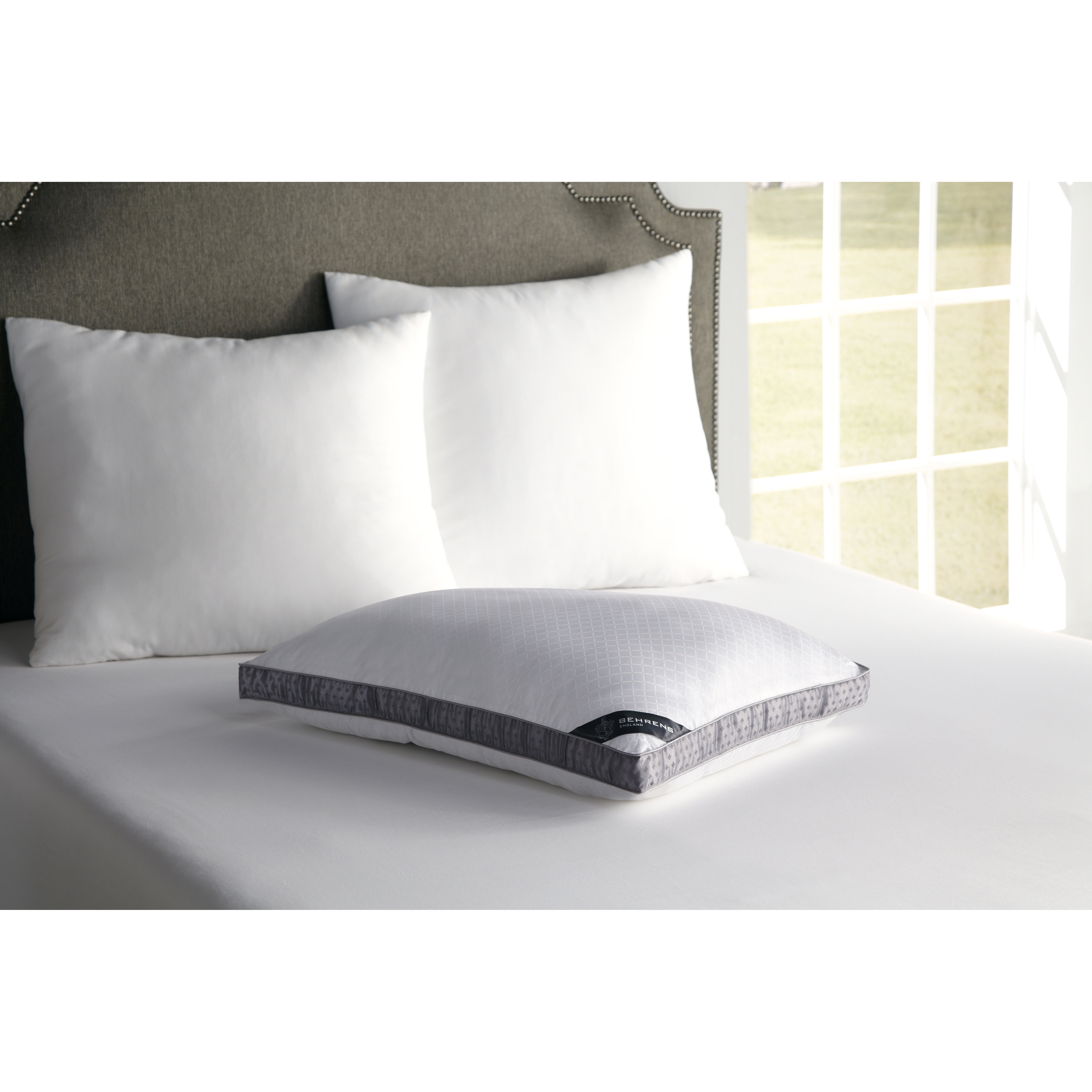 BEHRENS England 1834 HighLoft Pillow & Reviews Wayfair