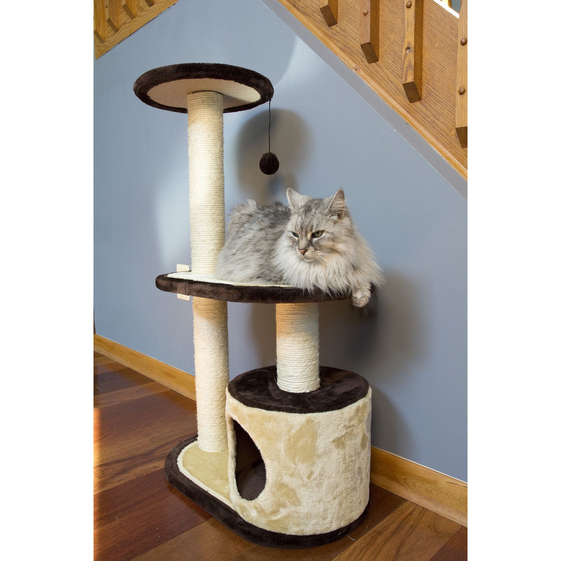 Iconic Pet 28" 3 Tier Cat Tree Condo Wayfair