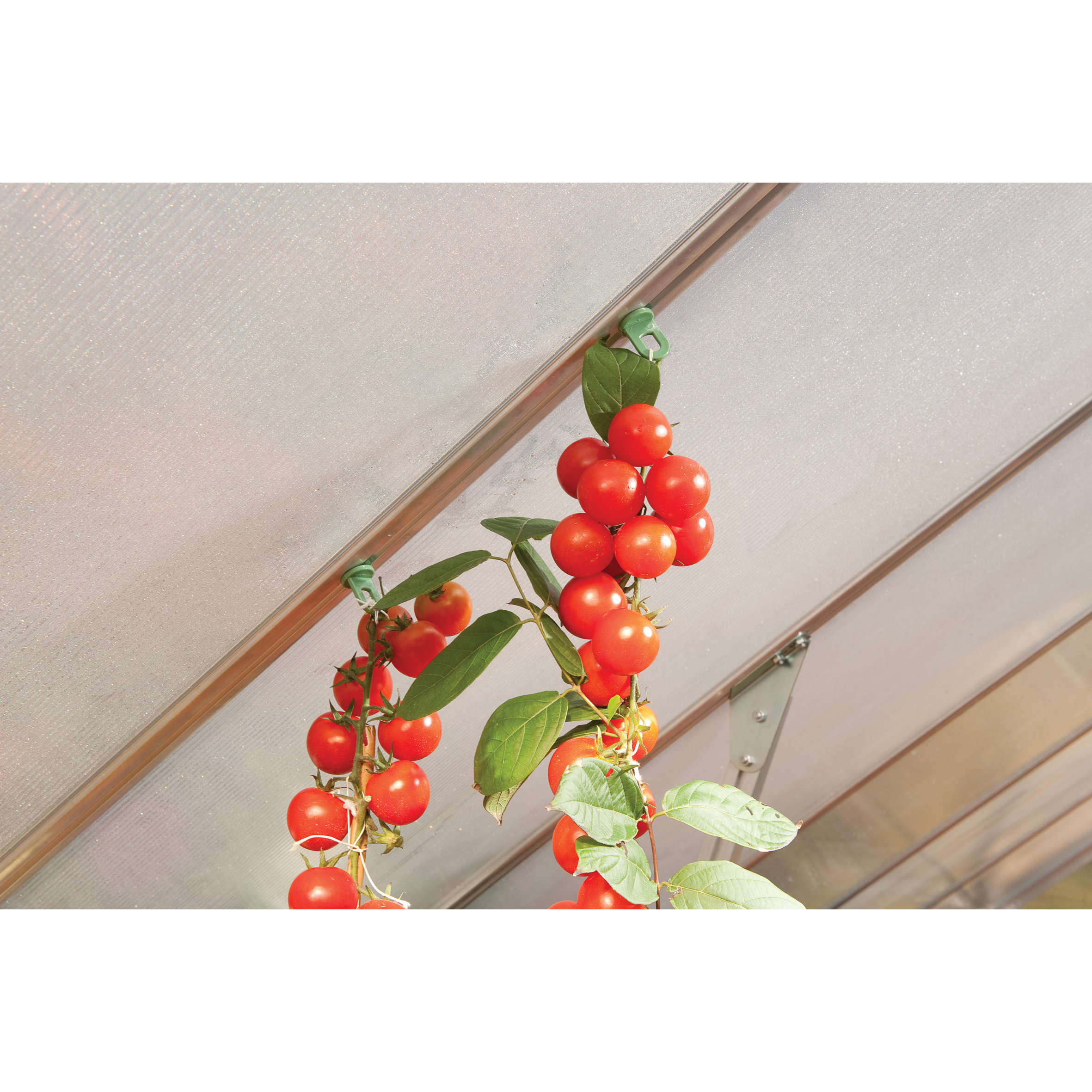 Palram Greenhouse Plant Hangers & Reviews Wayfair