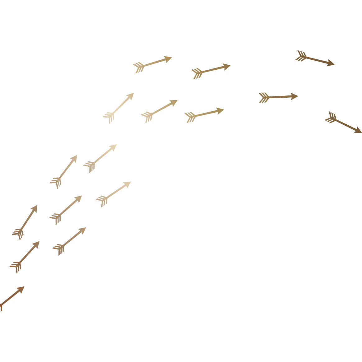 Walls Need Love Flying Arrows 30 Piece Wall Decal Set & Reviews | Wayfair