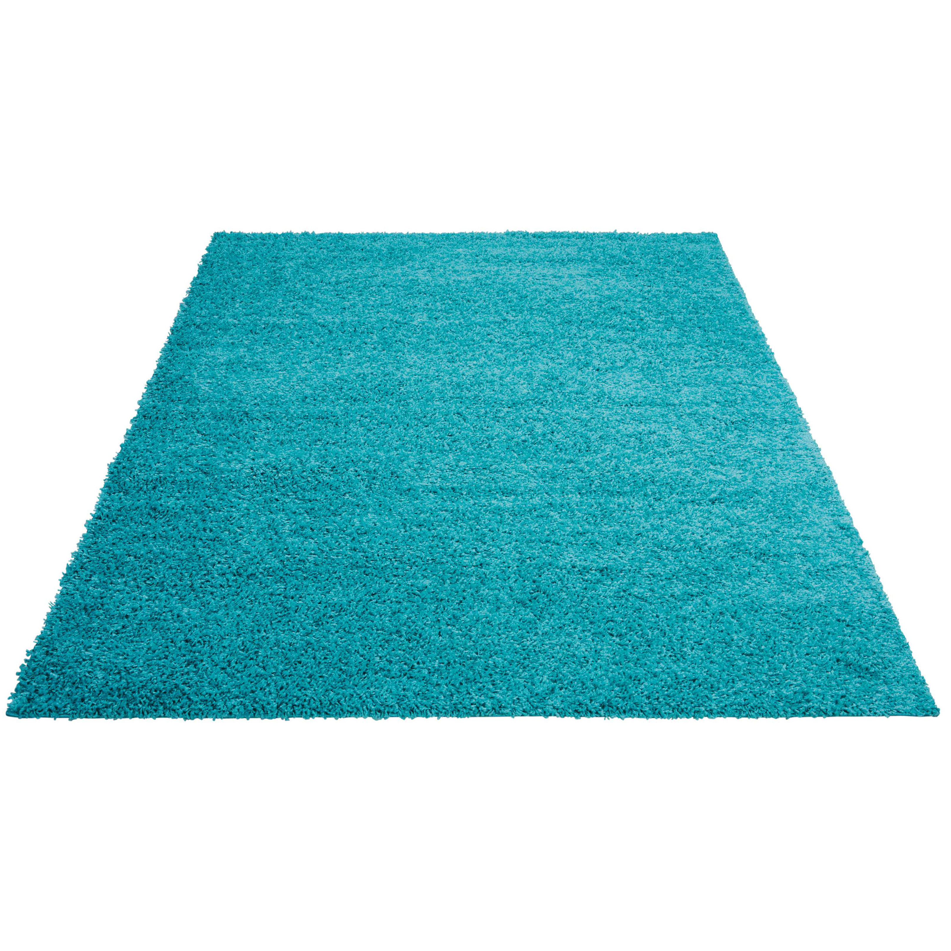 Zipcode™ Design Alexis Turquoise Area Rug & Reviews Wayfair