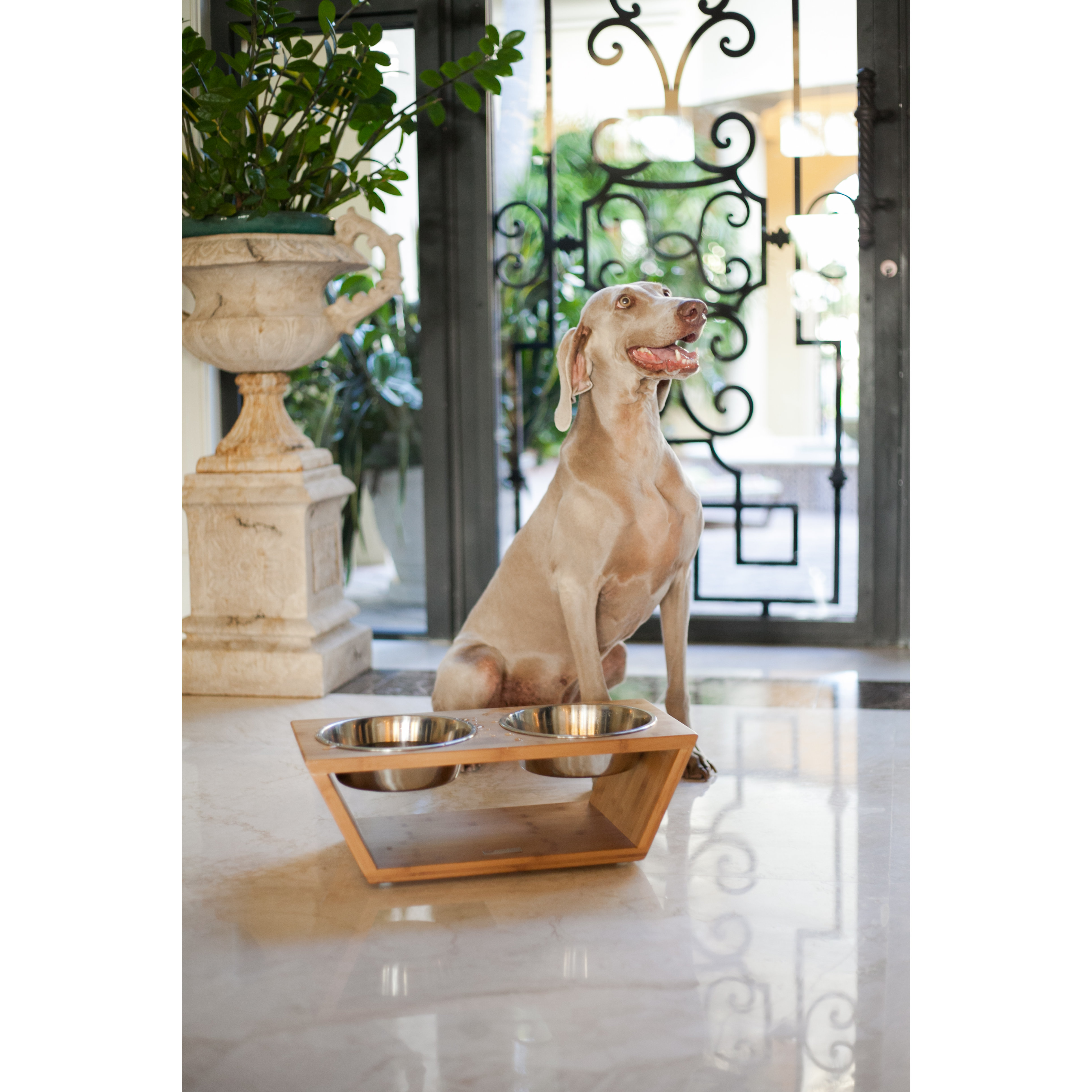Pet Lounge Studios Bambu Angled Pet Diner Double Bowl Feeder & Reviews