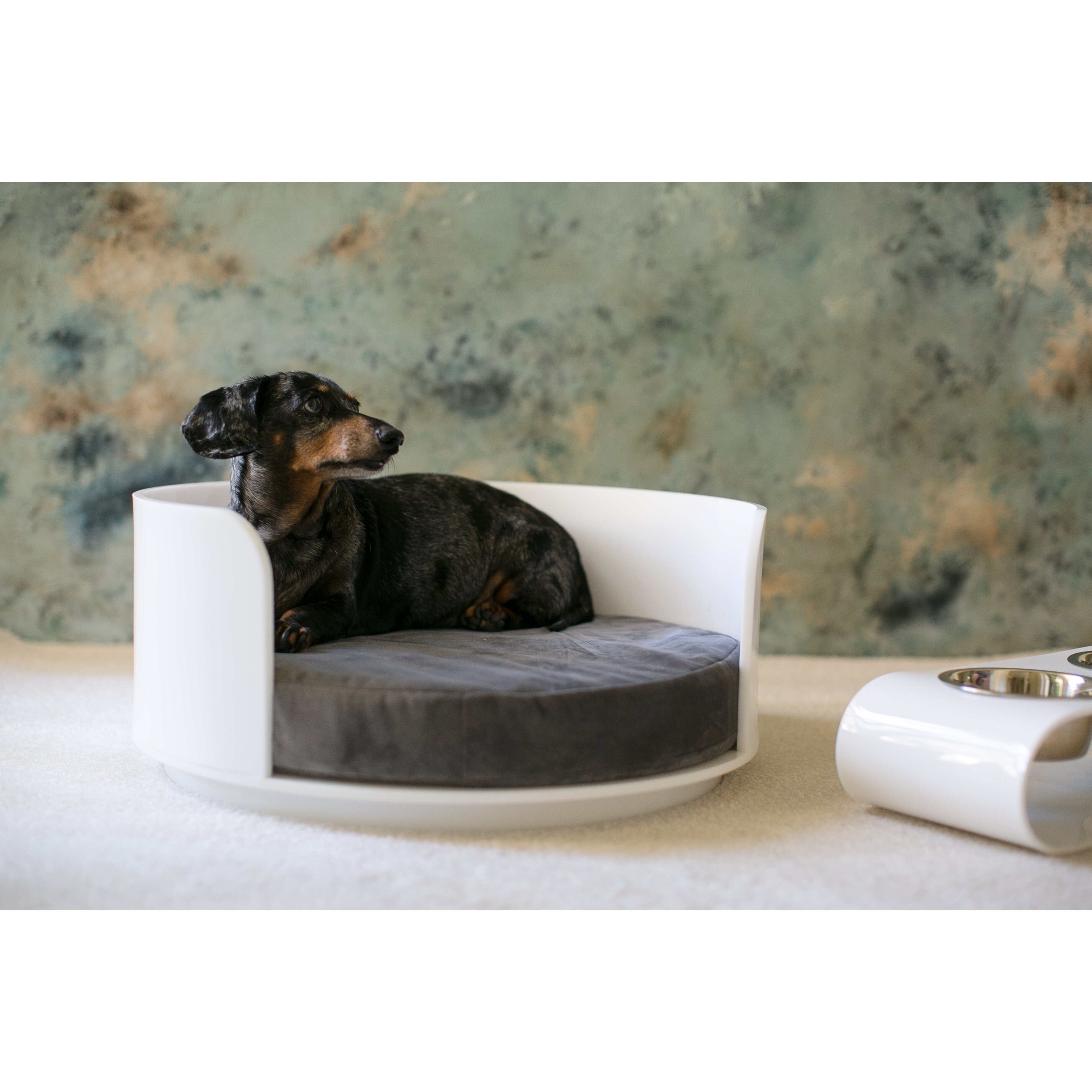 Pet Lounge Studios Marni Acrylic Pet Bed | Wayfair.ca