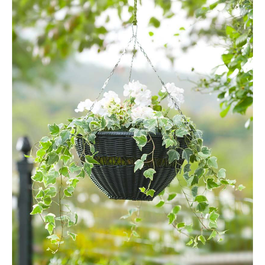 Plow & Hearth Novelty Hanging Planter & Reviews 