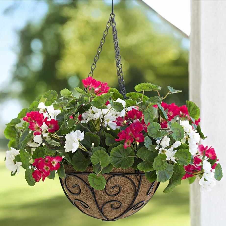 Plow & Hearth Lighted Geranium Hanging Basket & Reviews | Wayfair