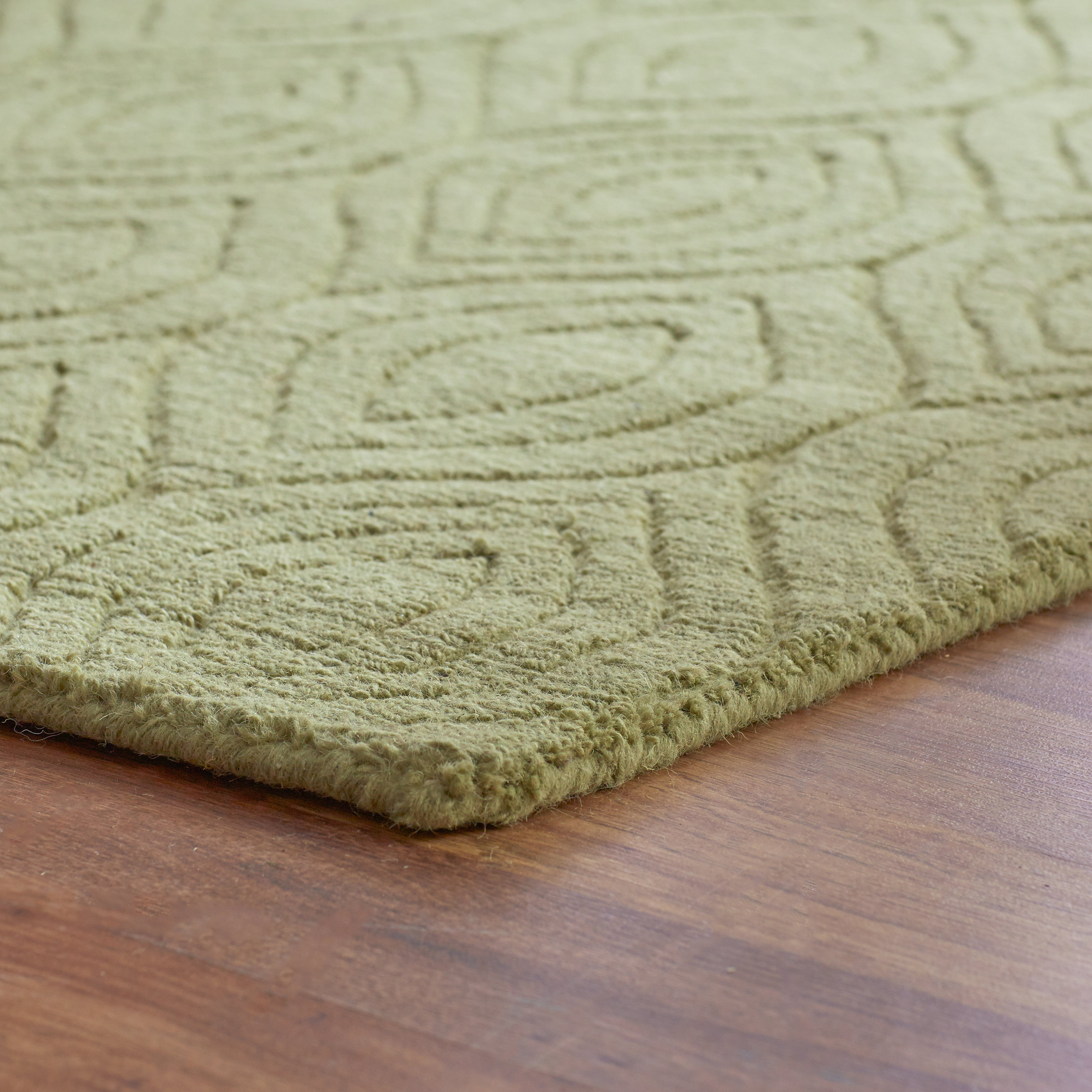 Mercury Row Orion HandWoven Light Green Area Rug & Reviews Wayfair