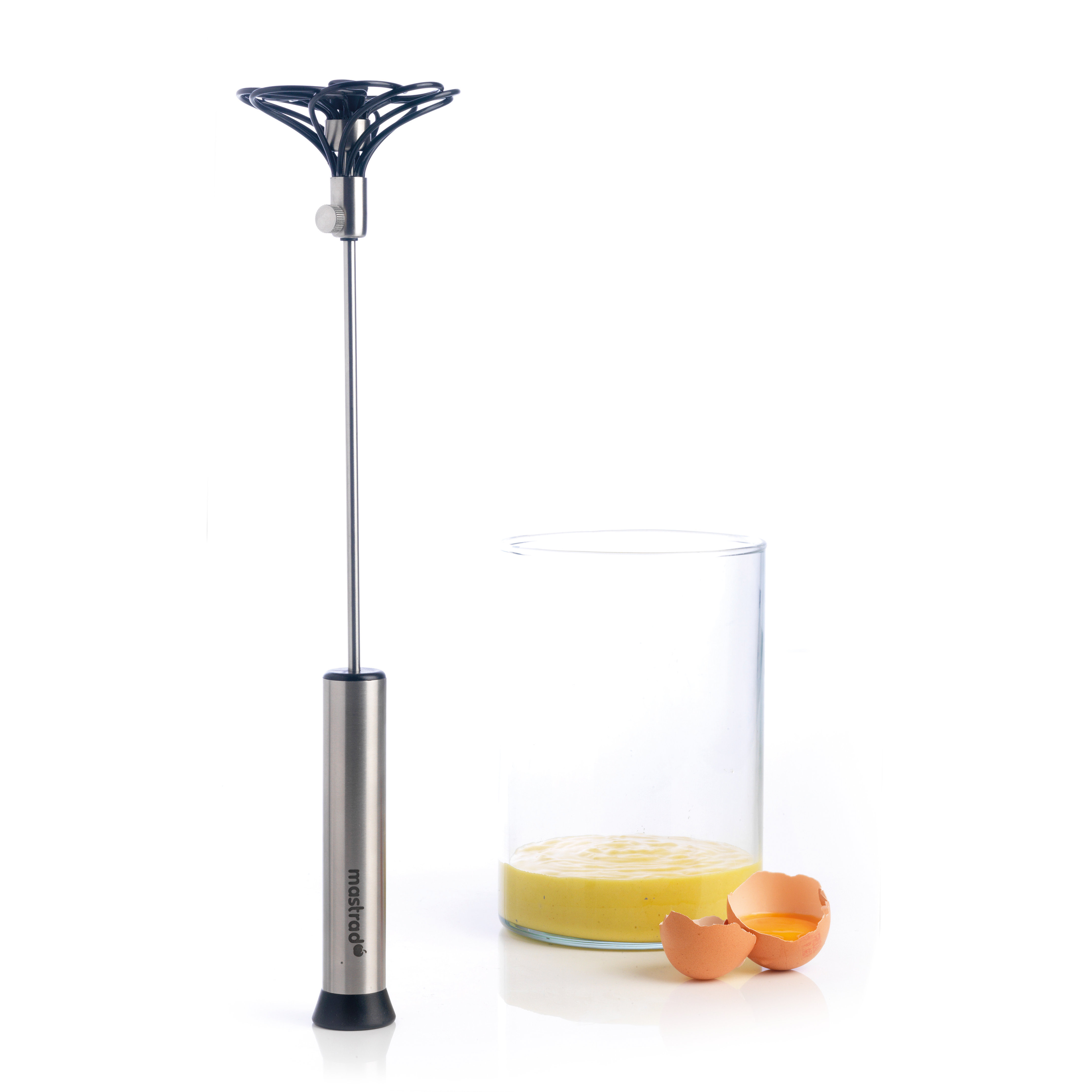 MASTRAD Express Whisk Wayfair