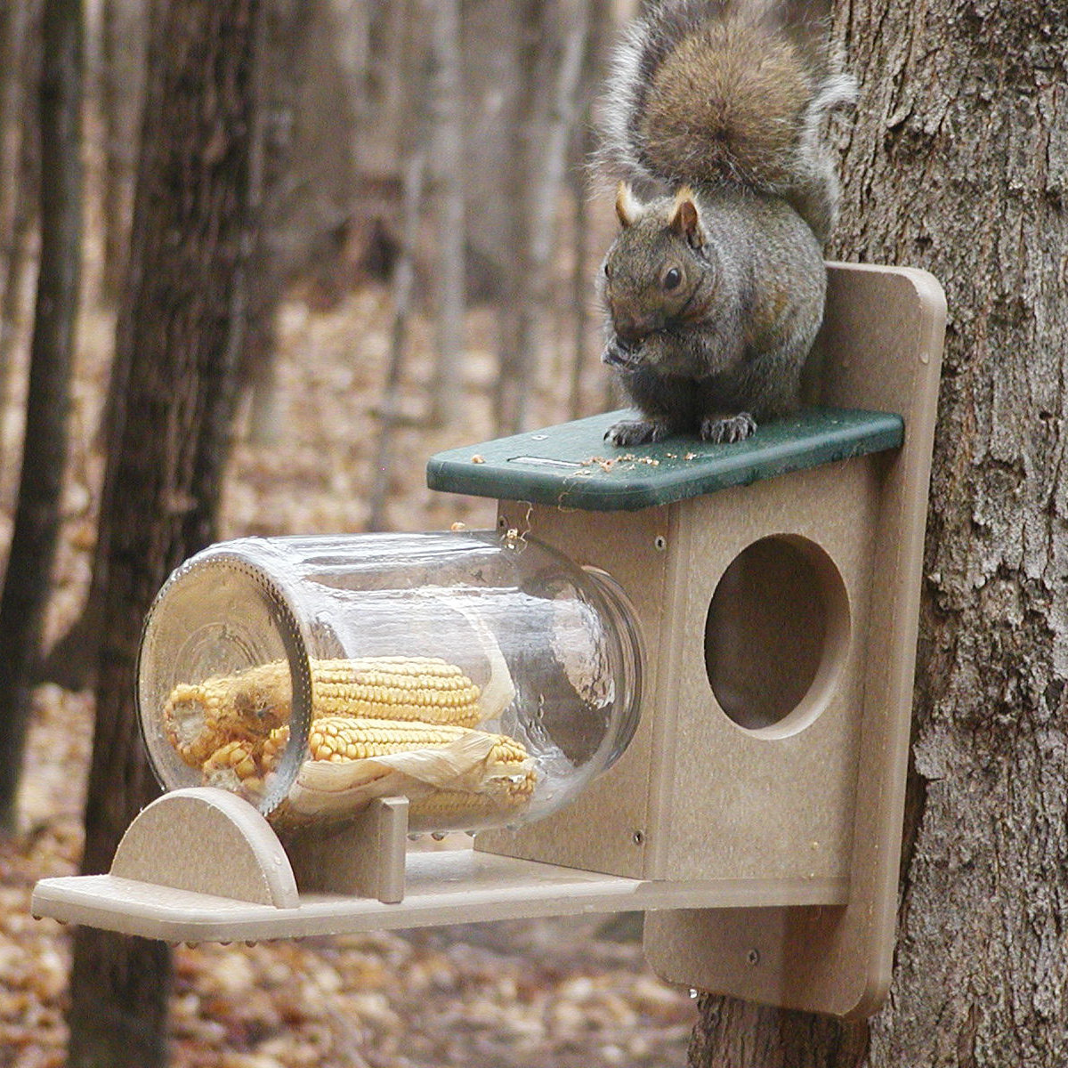 birds choice recycled jar squirrel feeder reviews wayfair birds choice recycled jar squirrel feeder reviews wayfair