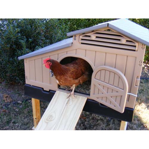 Formex Standard Chicken Coop & Reviews Wayfair