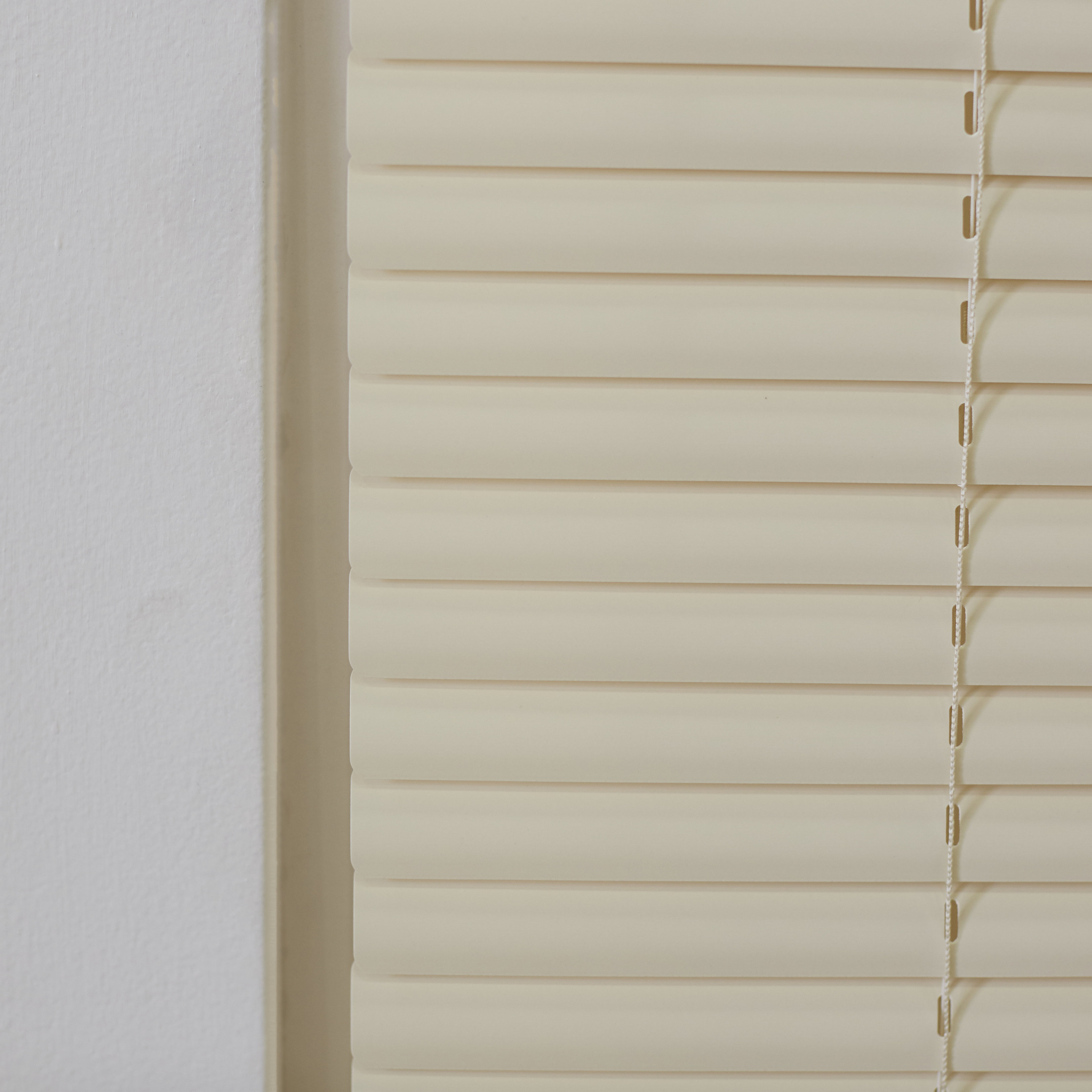 Wayfair Basics Wayfair Basics Cordless Blind & Reviews