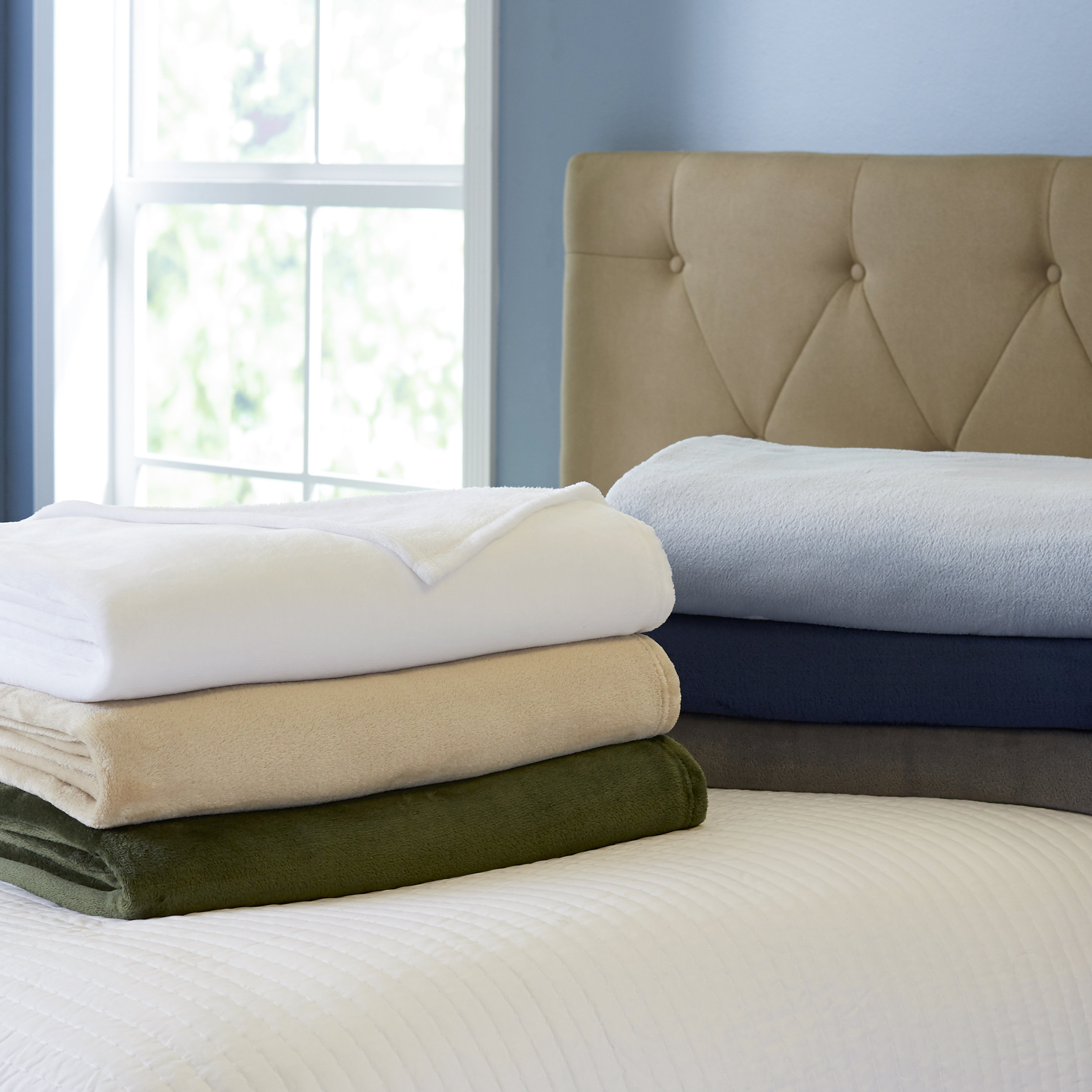 Wayfair Basics Wayfair Basics Soft Plush Blanket & Reviews Wayfair