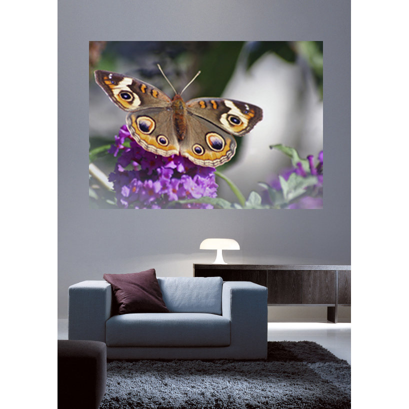 Wallhogs Butterfly II Wall Mural Wayfair