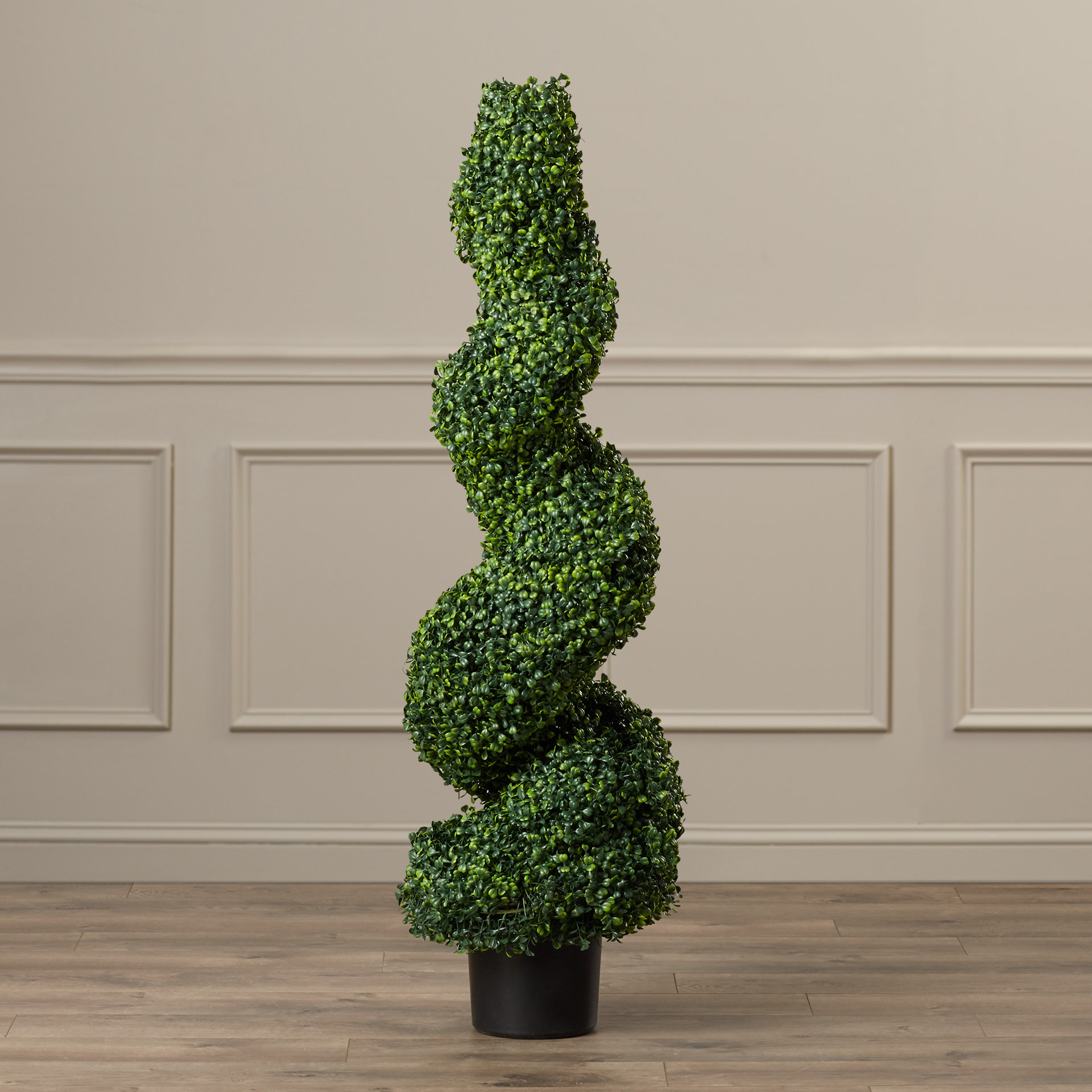 Darby Home Co Boxwood Topiary in Pot & Reviews Wayfair