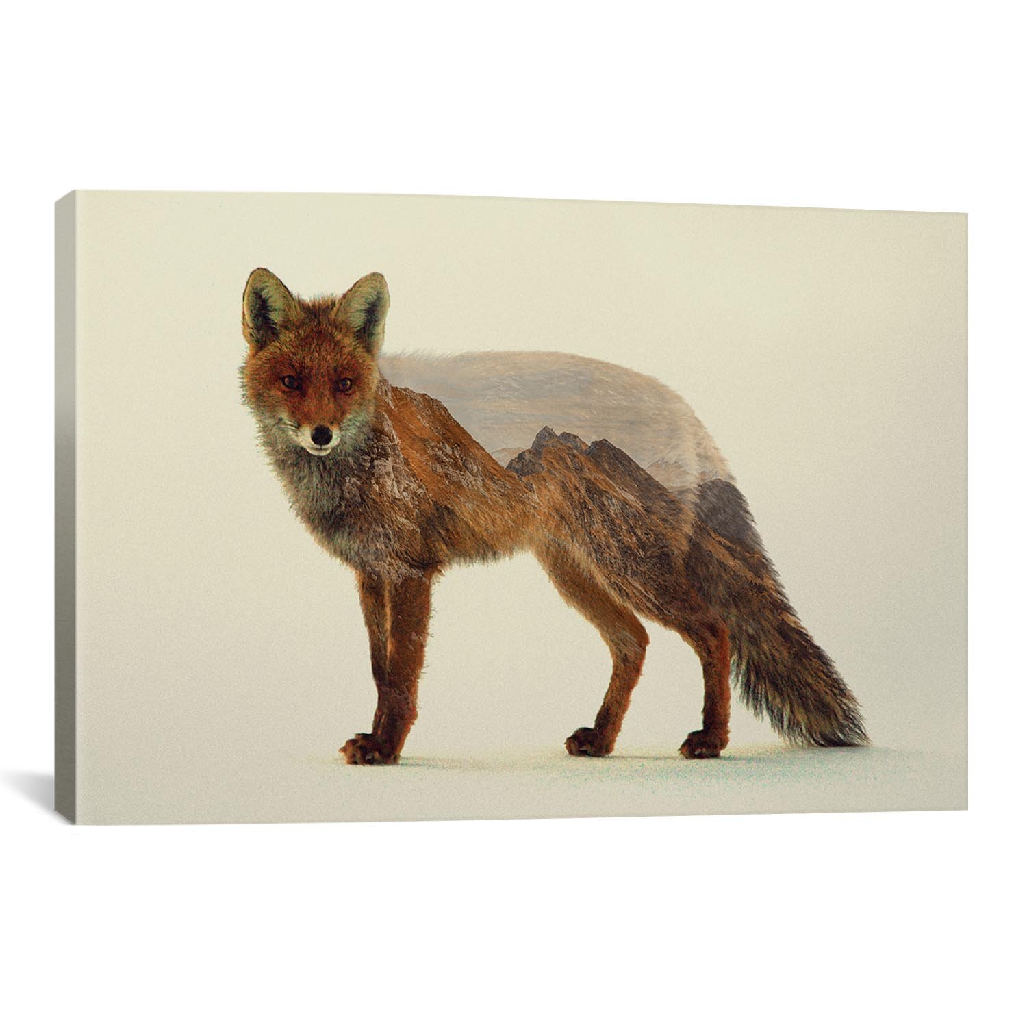 Brayden Studio 'Mountain Fox' by Andreas Lie Graphic Art on Wrapped ...