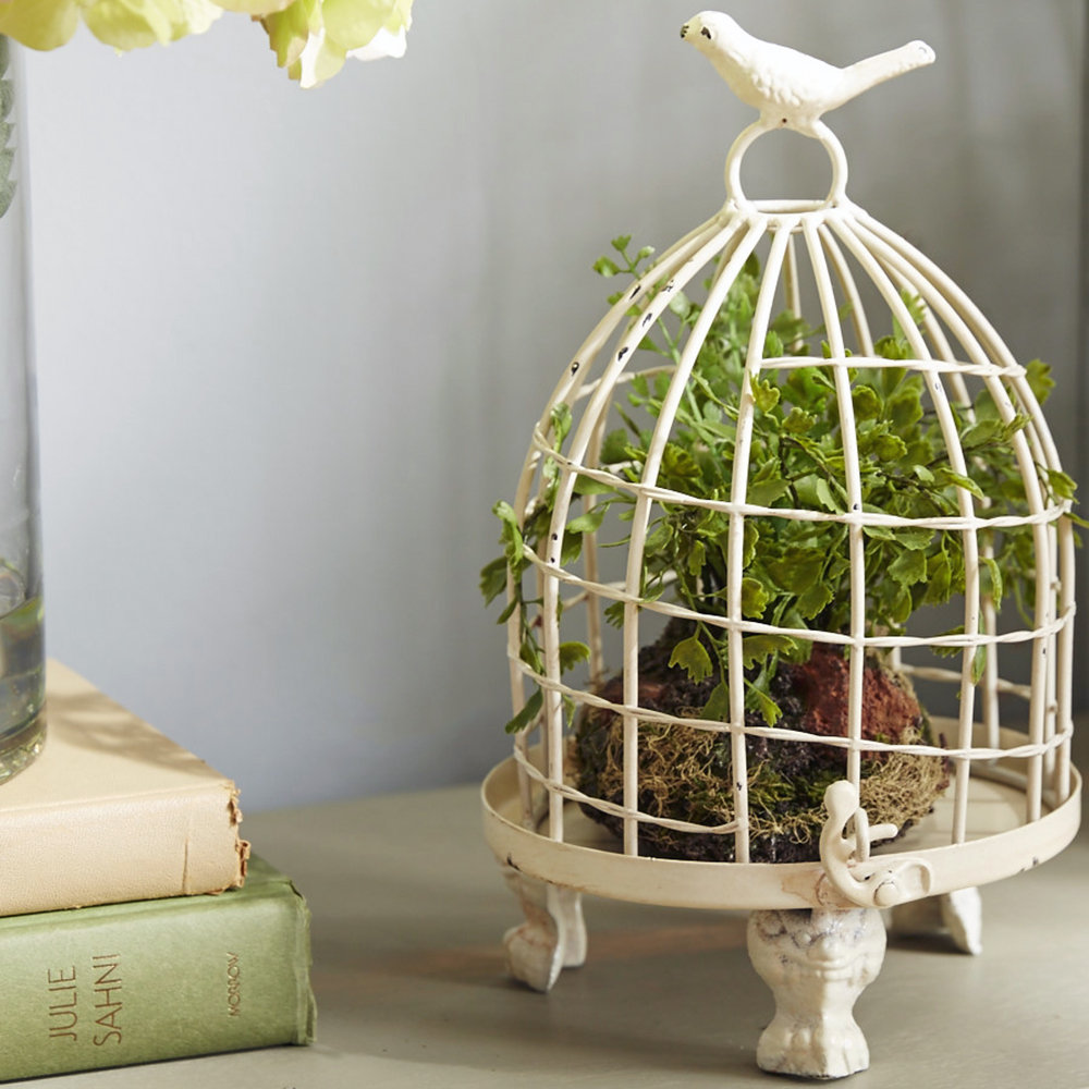Lark Manor Orla 2 Piece Birdcage Set & Reviews Wayfair