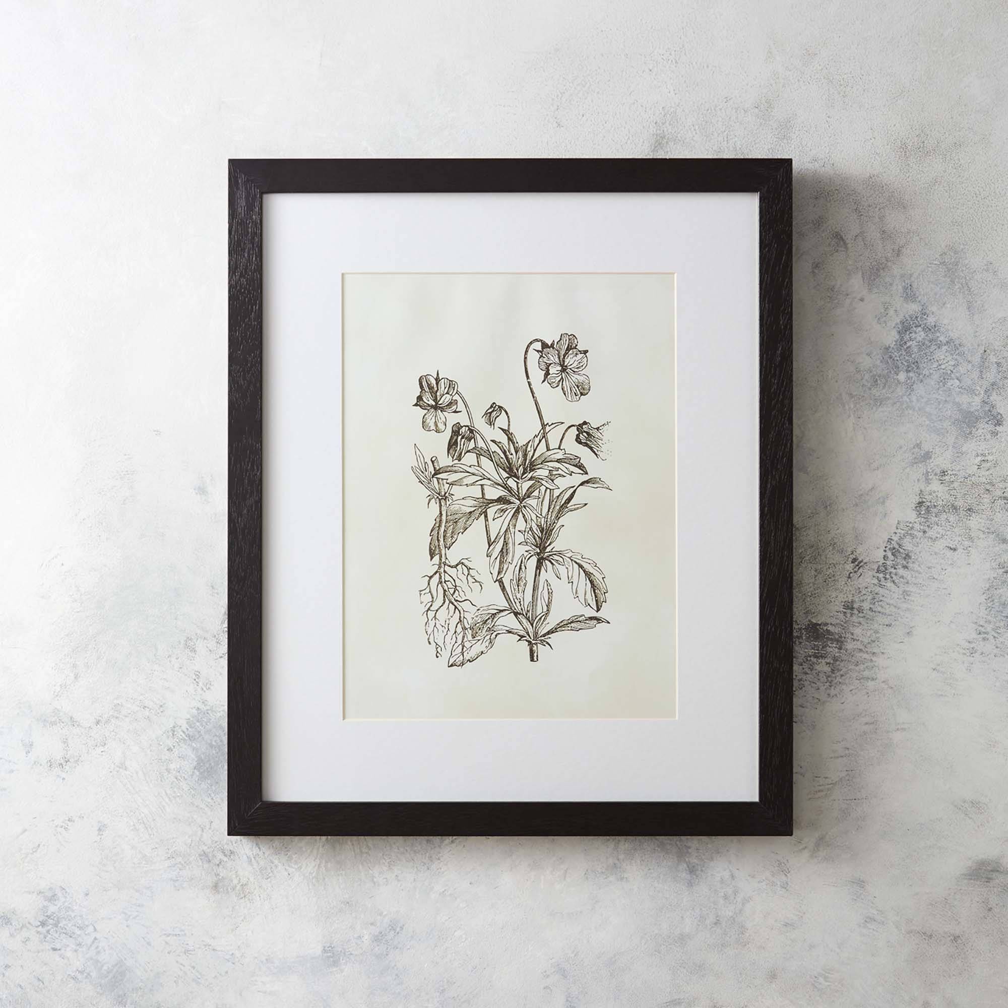 August Grove Flora I Framed Painting Print & Reviews | Wayfair