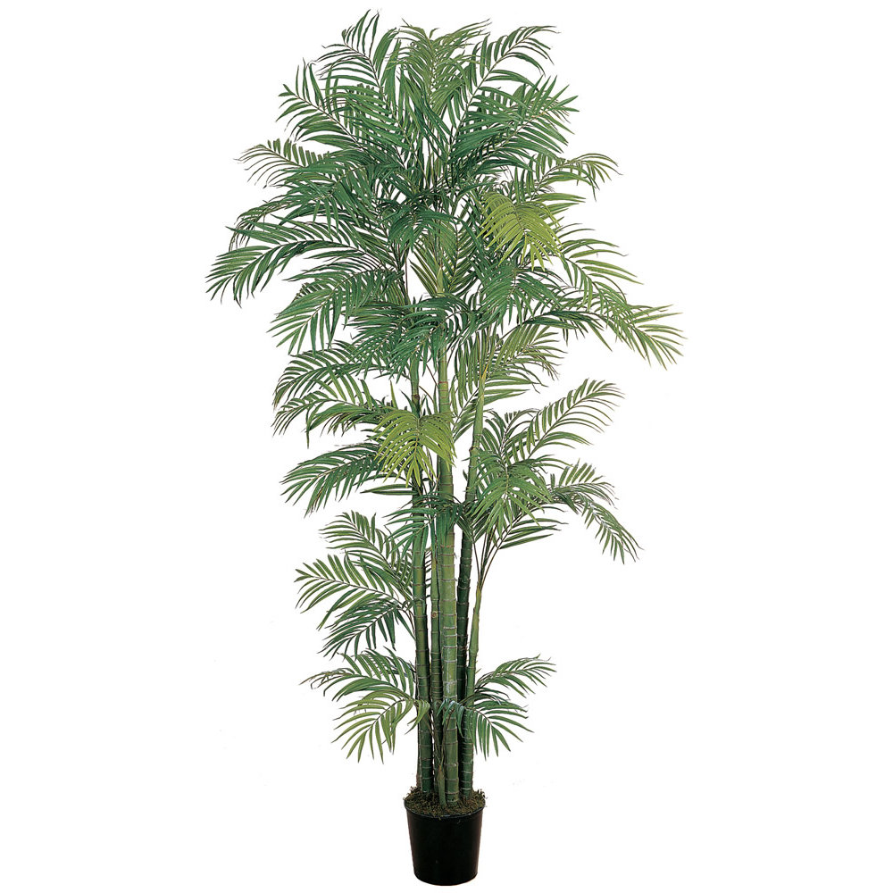 Beachcrest Home Brookings Silk Areca Palm Tree in Pot & Reviews Wayfair