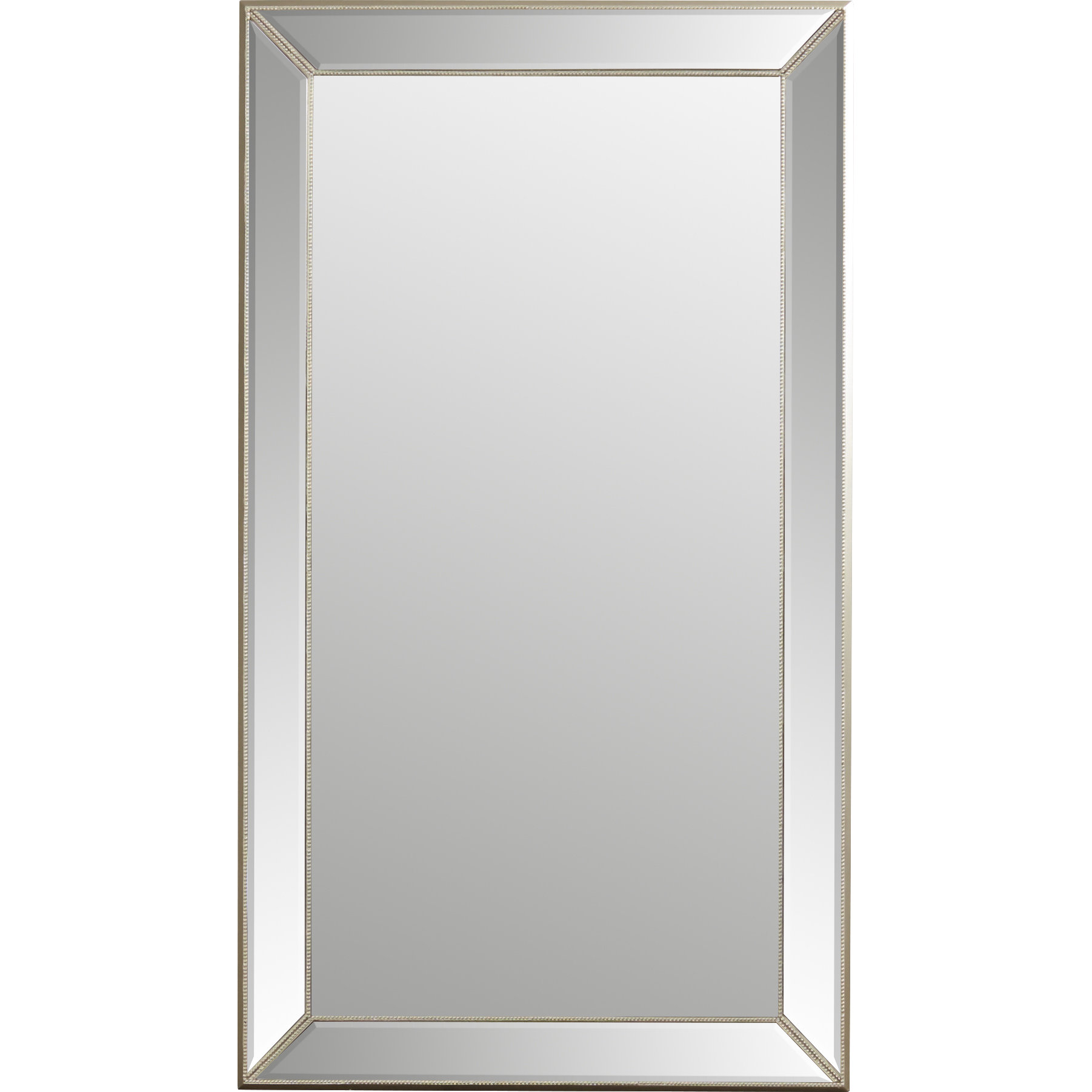House of Hampton Floor Mirror & Reviews Wayfair