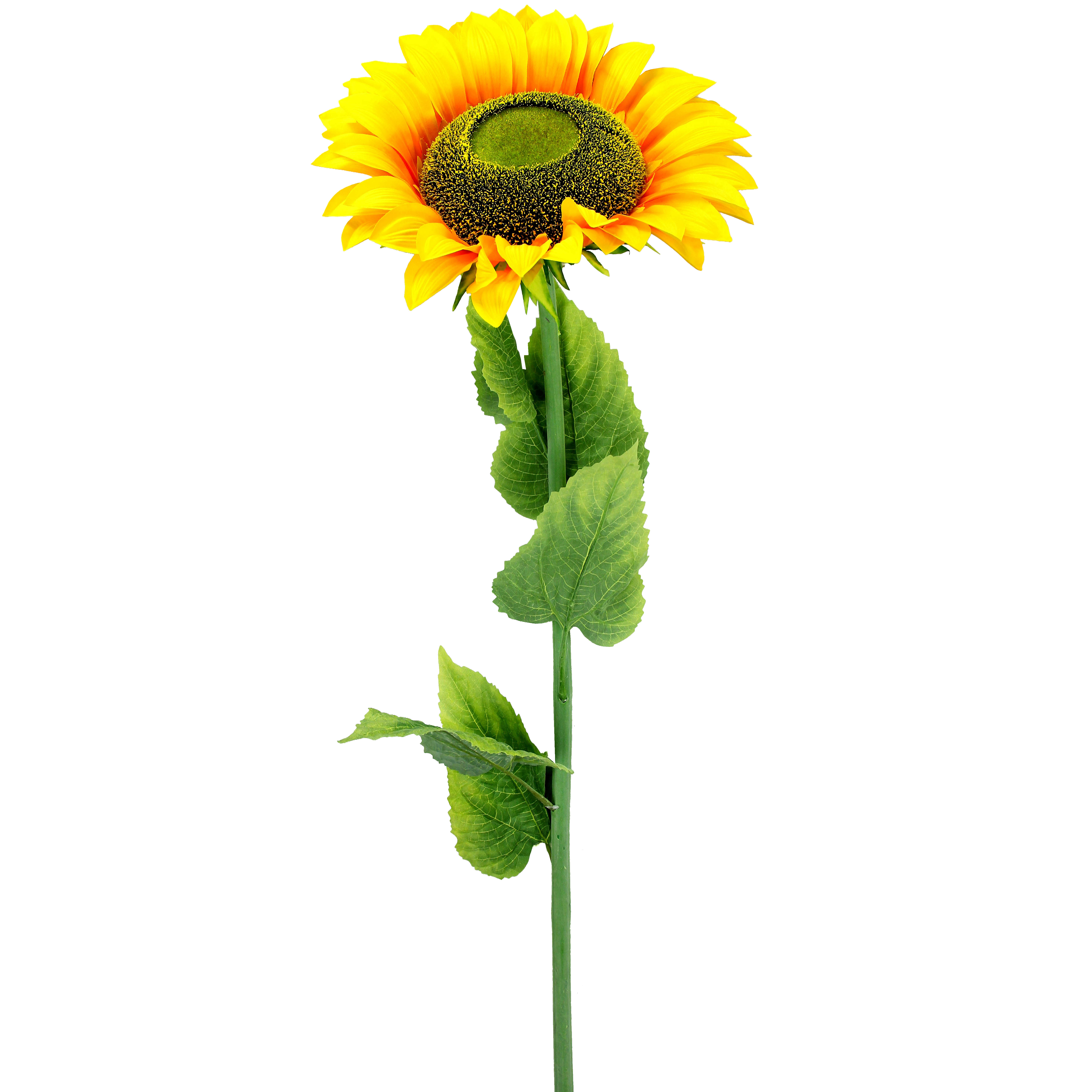 AdmiredbyNature Large Single Stem Blooms Sunflower Wayfair