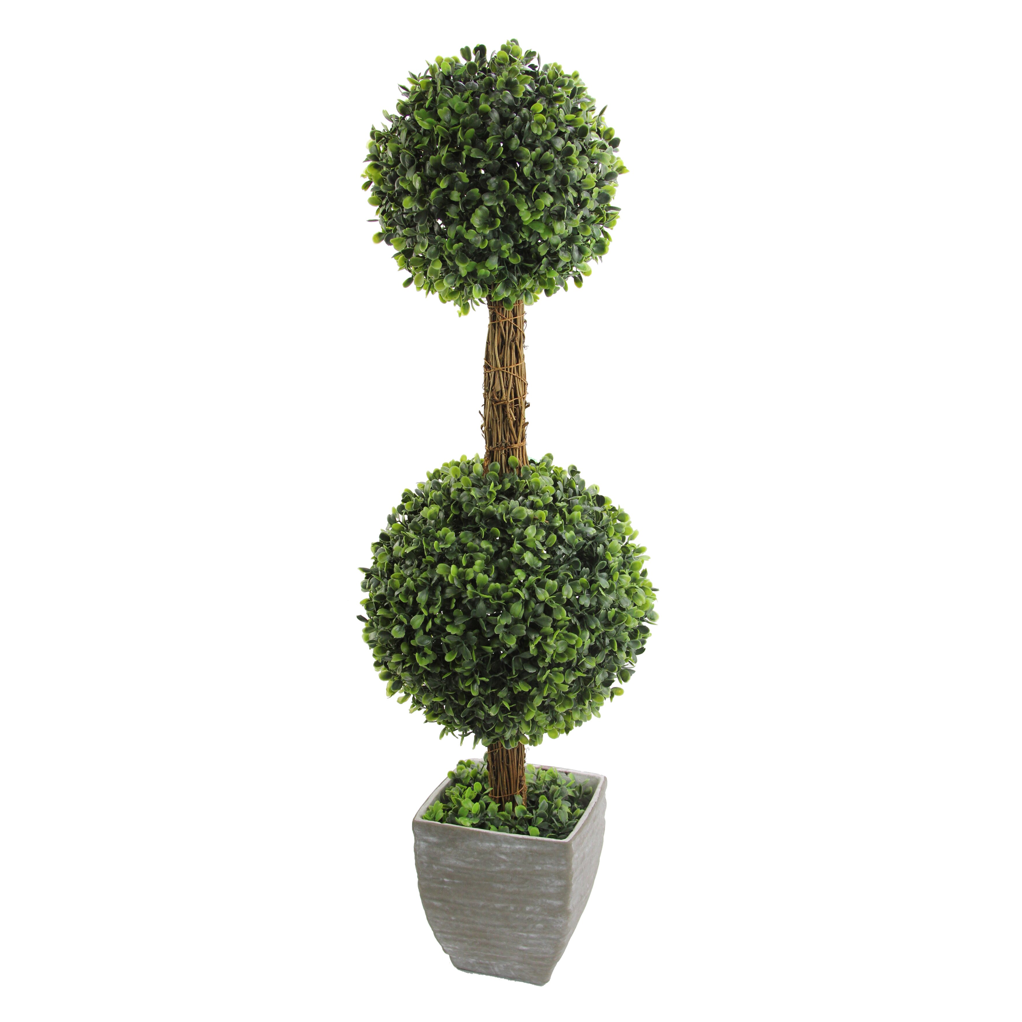 AdmiredbyNature Desktop Double Ball- Shaped Boxwood Topiary in Pot ...