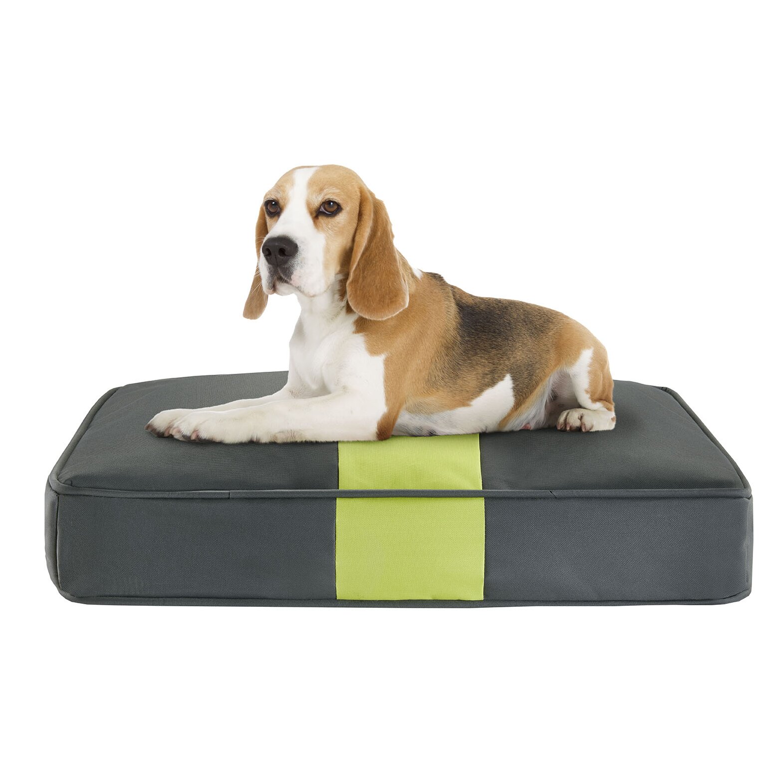 pet pillow dog bed