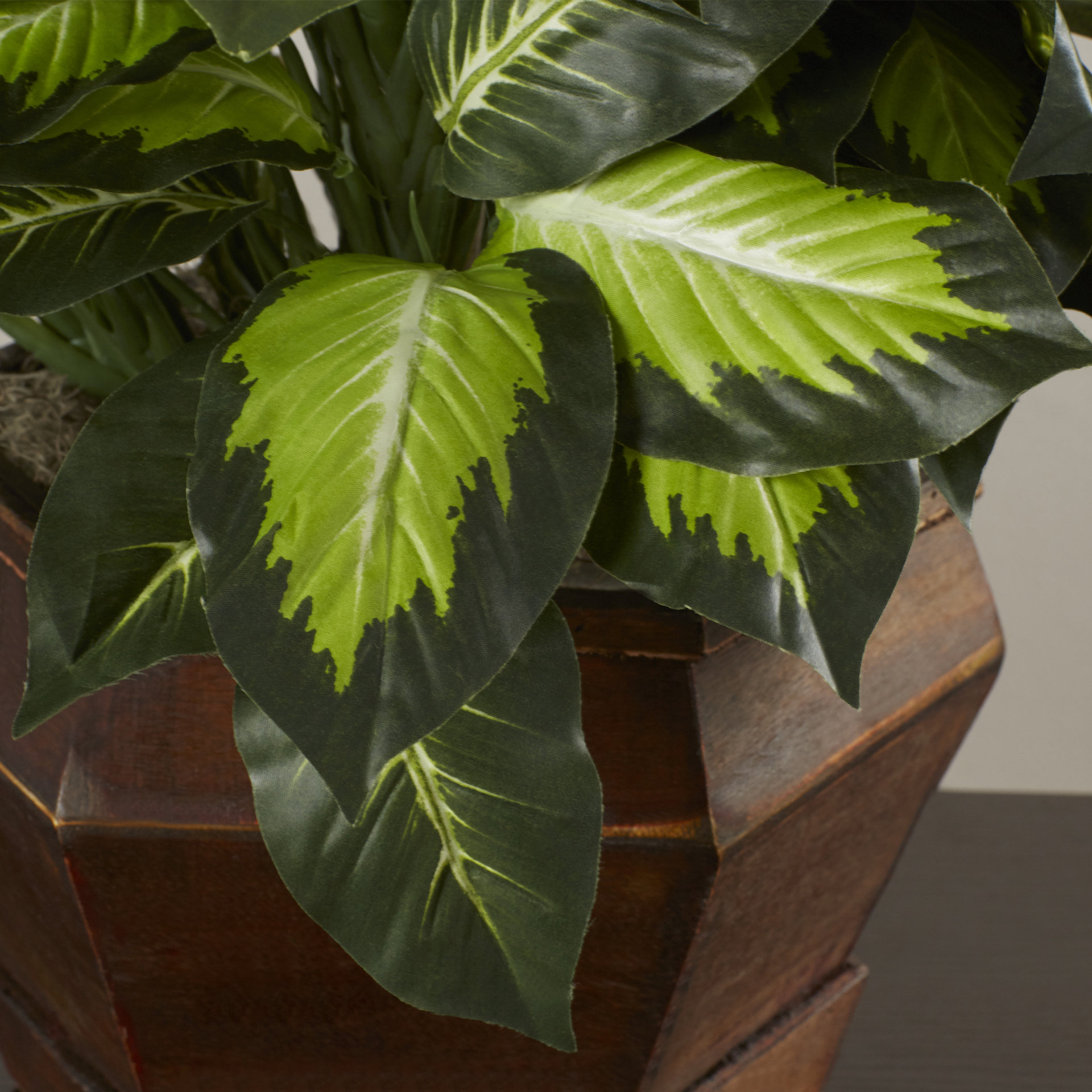 Bay Isle Home Golden Dieffenbachia Silk Desktop Plant in Planter
