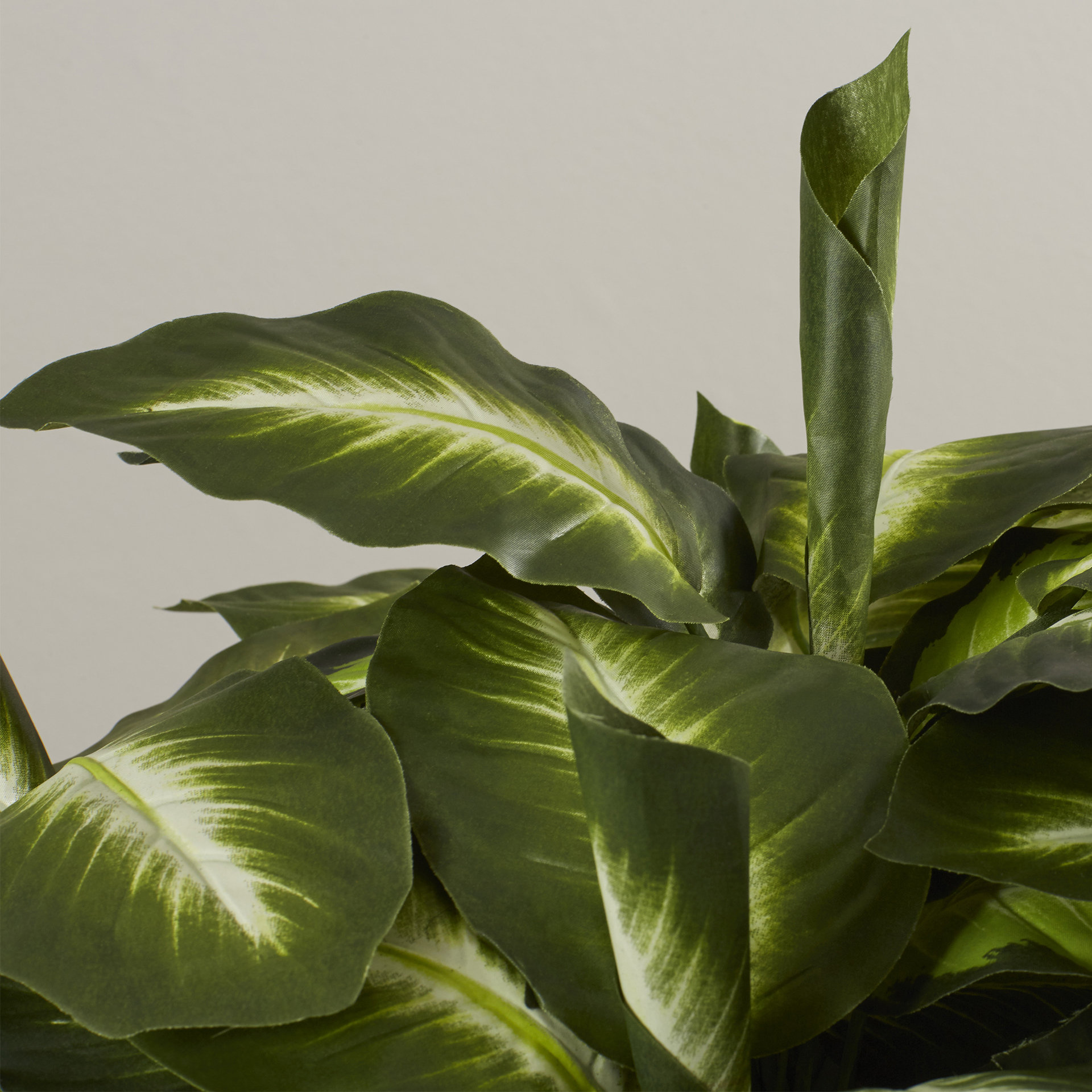 Bay Isle Home Golden Dieffenbachia Silk Desktop Plant in Planter