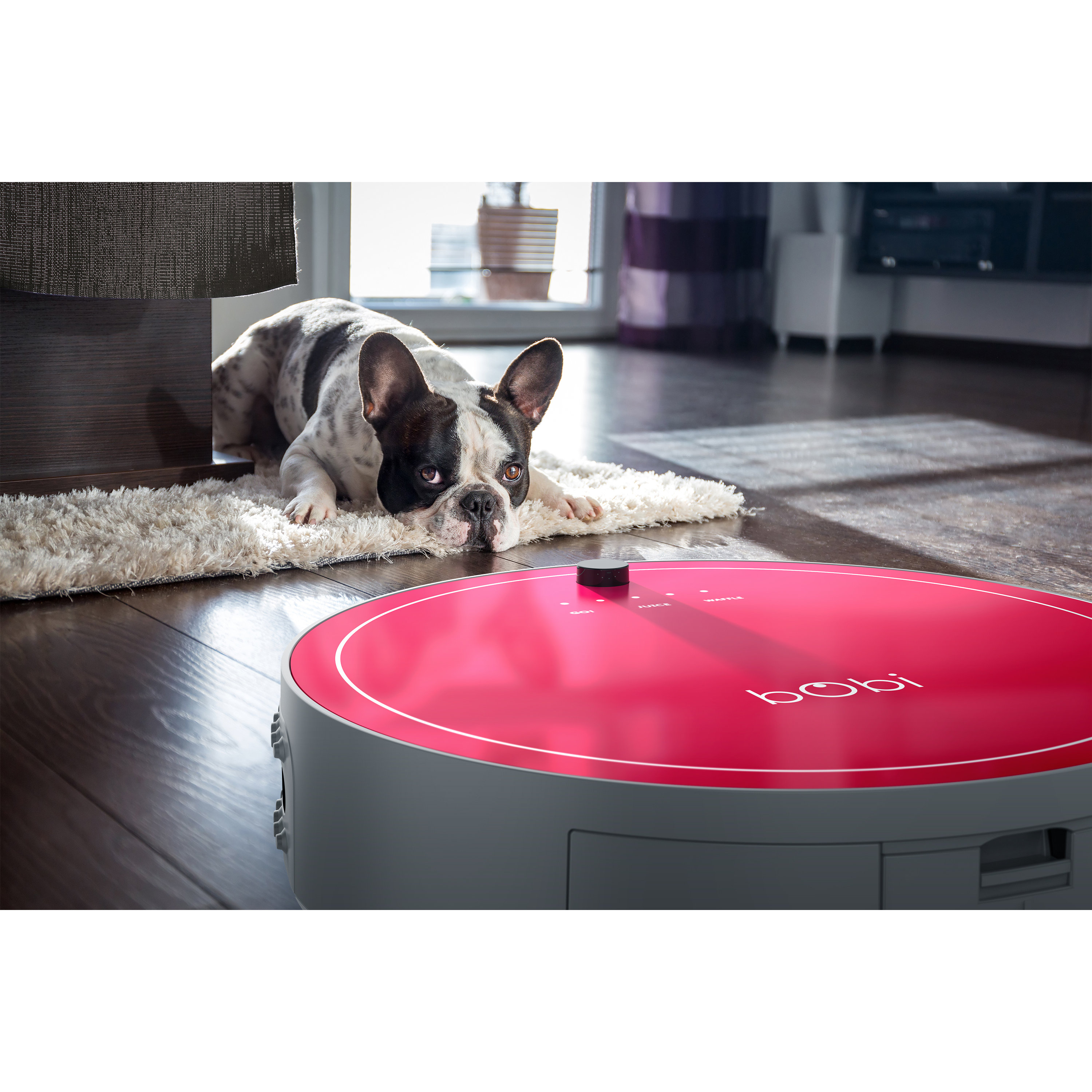 bObsweep bObi Pet Robotic Vacuum Cleaner & Reviews Wayfair
